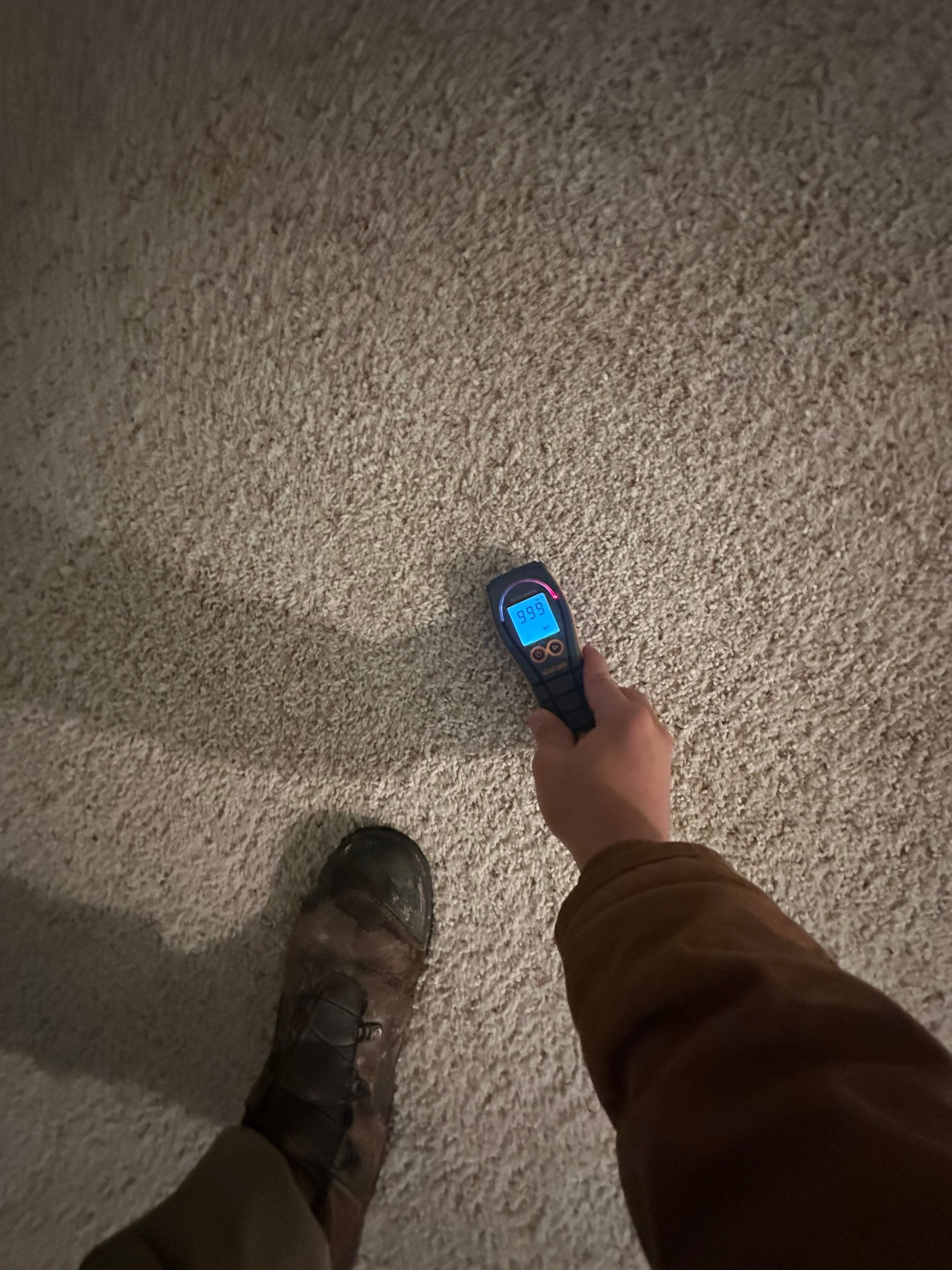 Water Damage in Highlands Ranch by Alpha Restoration 