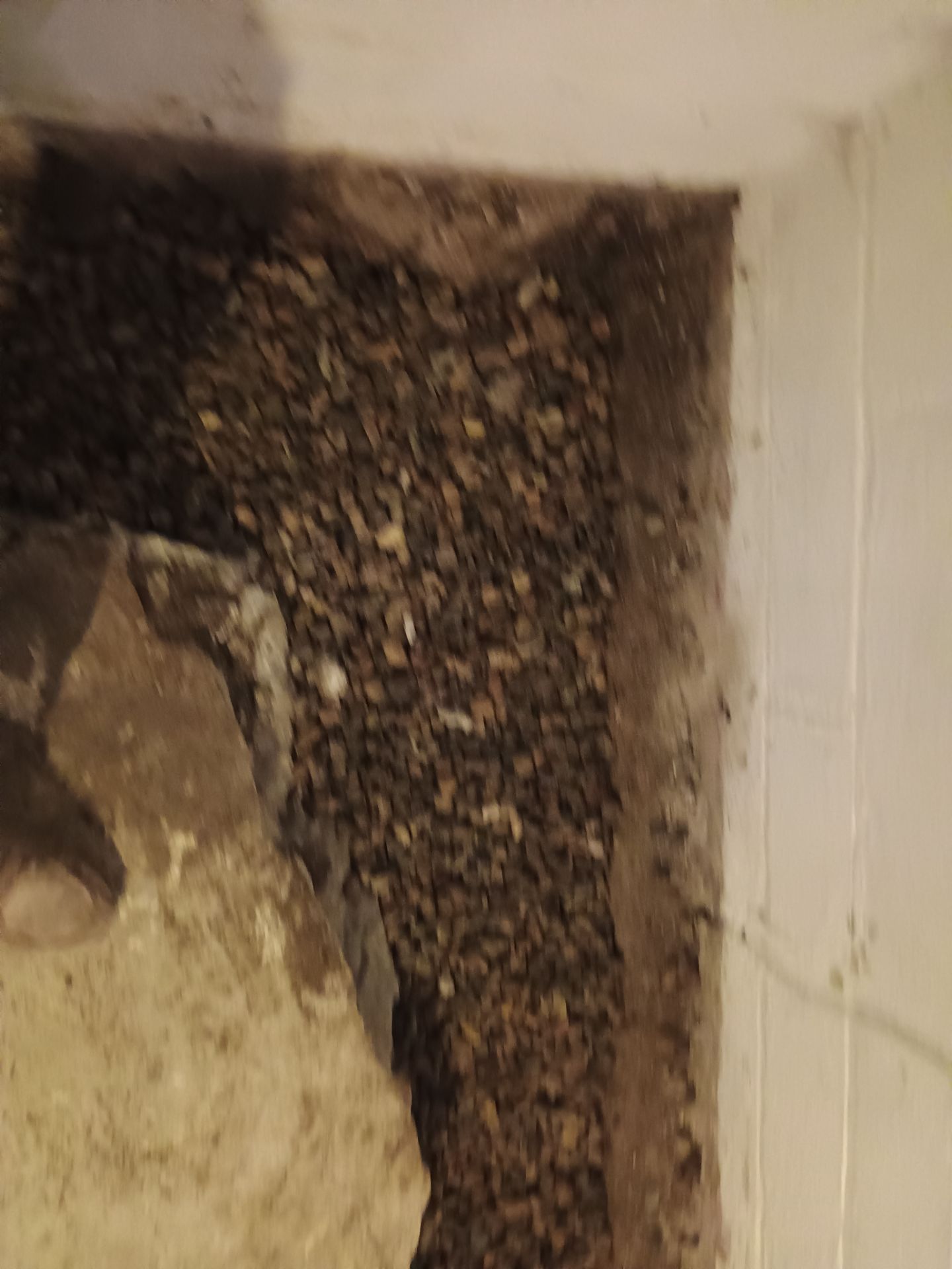 Updating Taylor's Waterproofing System by Waterproofing Northeast