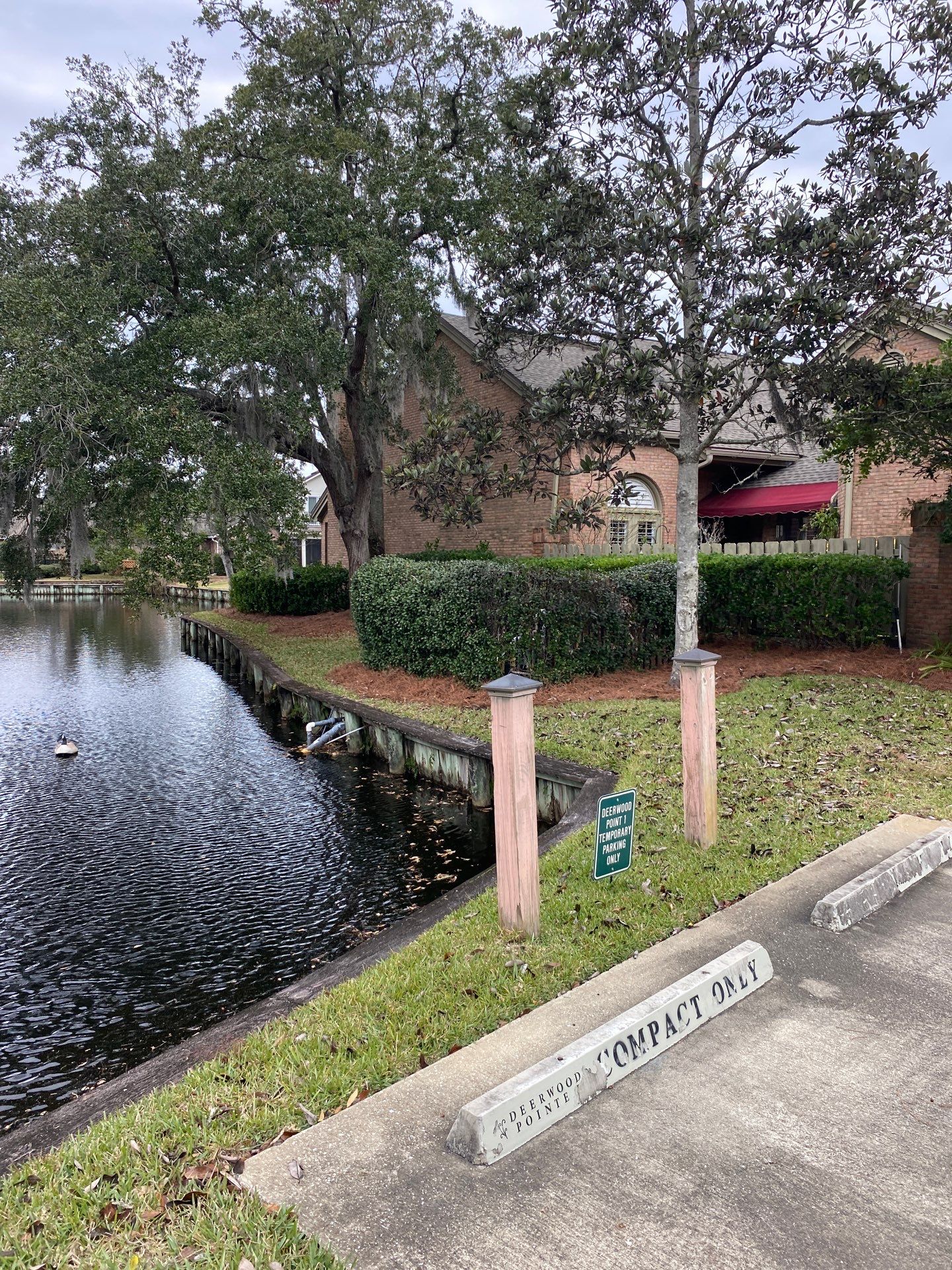 Deerwood Pointe | Tree Removal & Pine Straw Installation by ProGreen Services