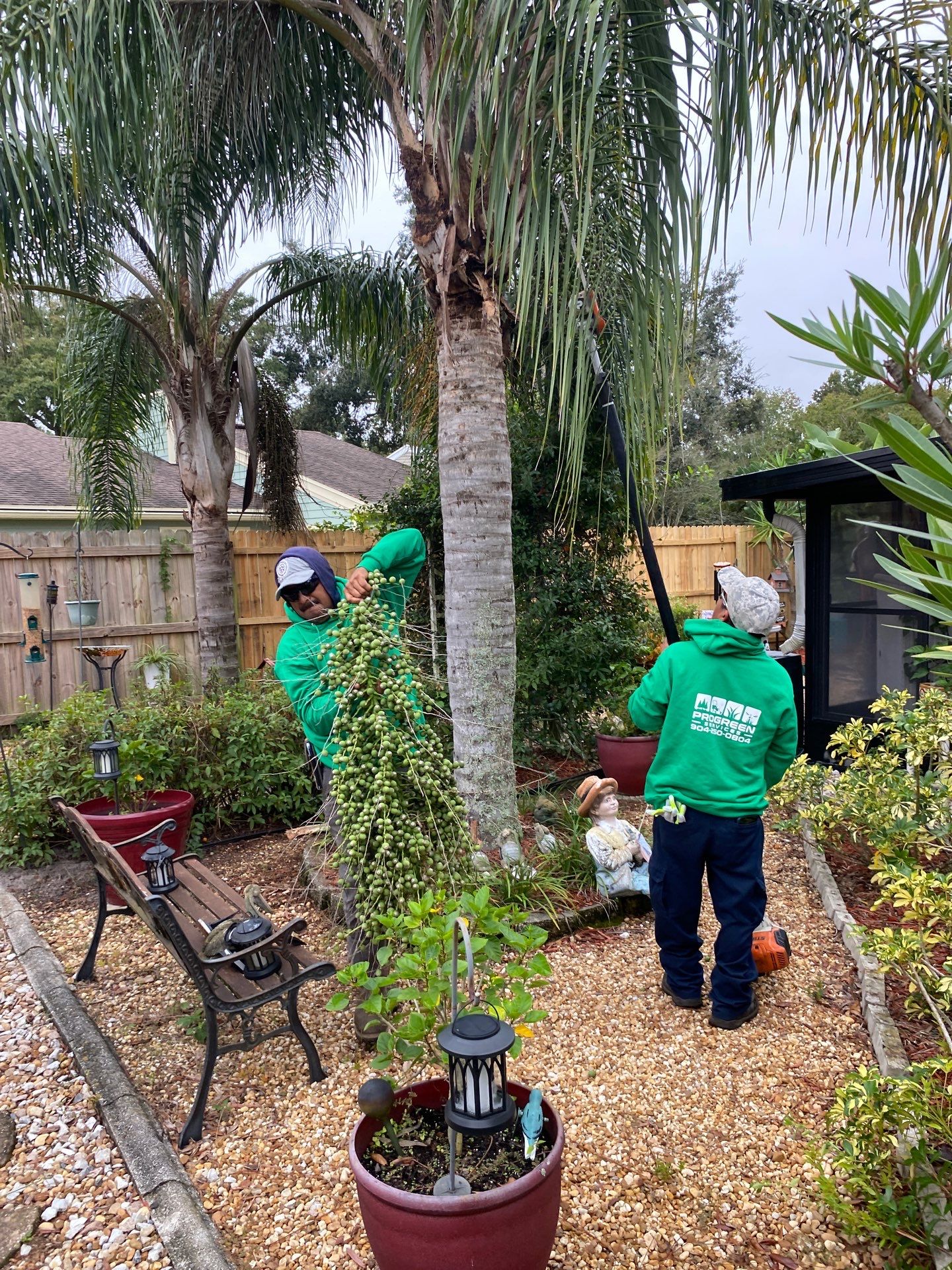 Tree Trimming | Residential by ProGreen Services
