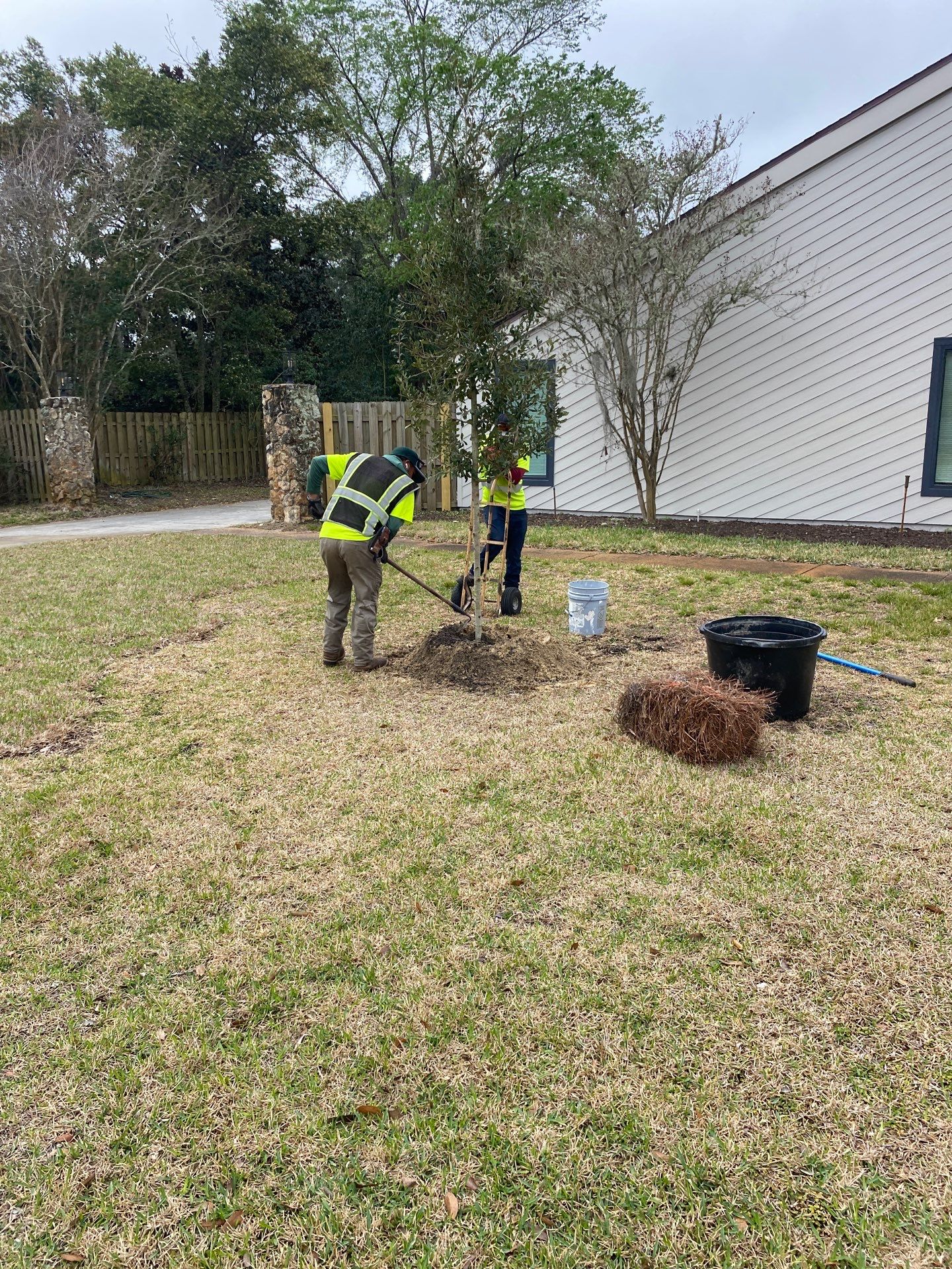 Deerwood Resident | Tree Install by ProGreen Services