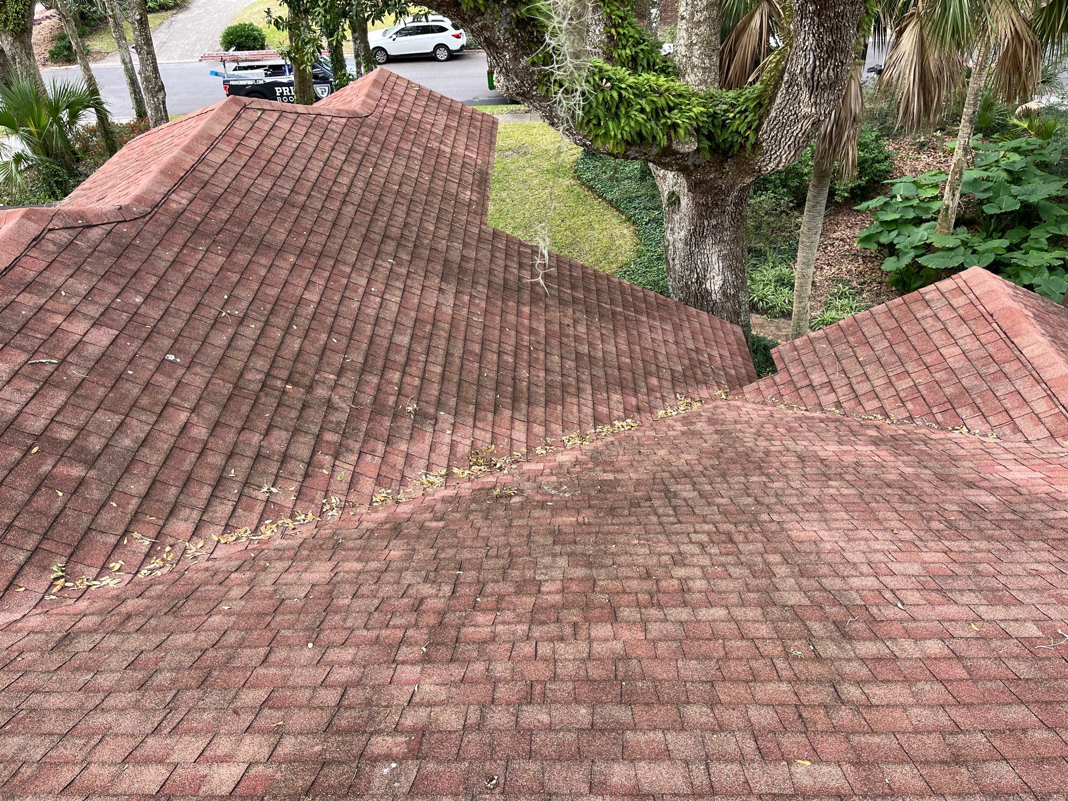 Shingle -> Shingle by Prime Roofing