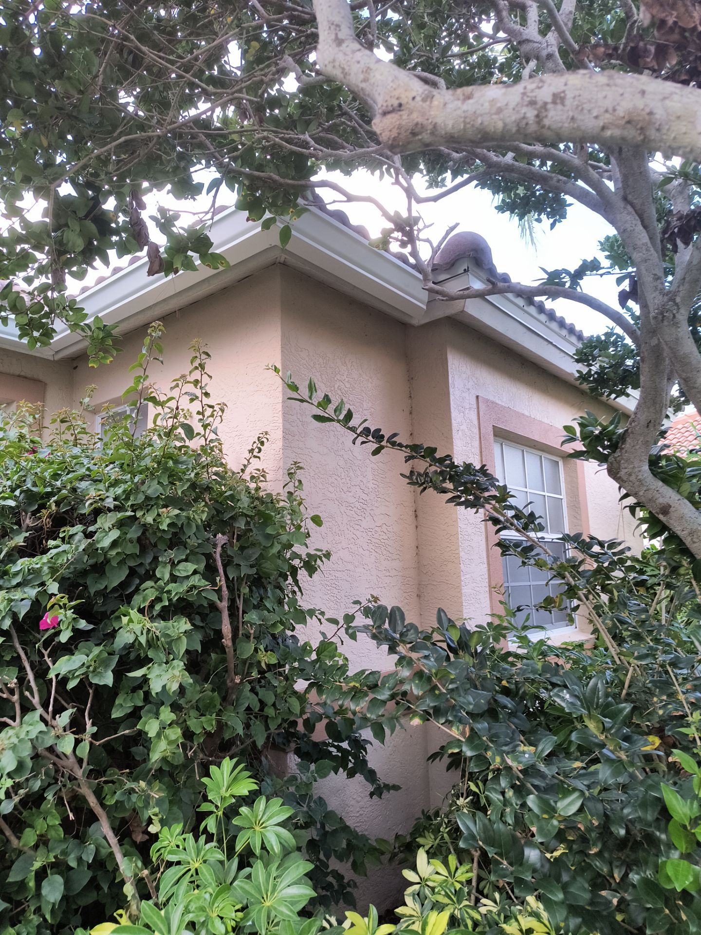 7 inch seamless gutters using K-Style Seamless Gutters in Sarasota FL by Gutter Professors