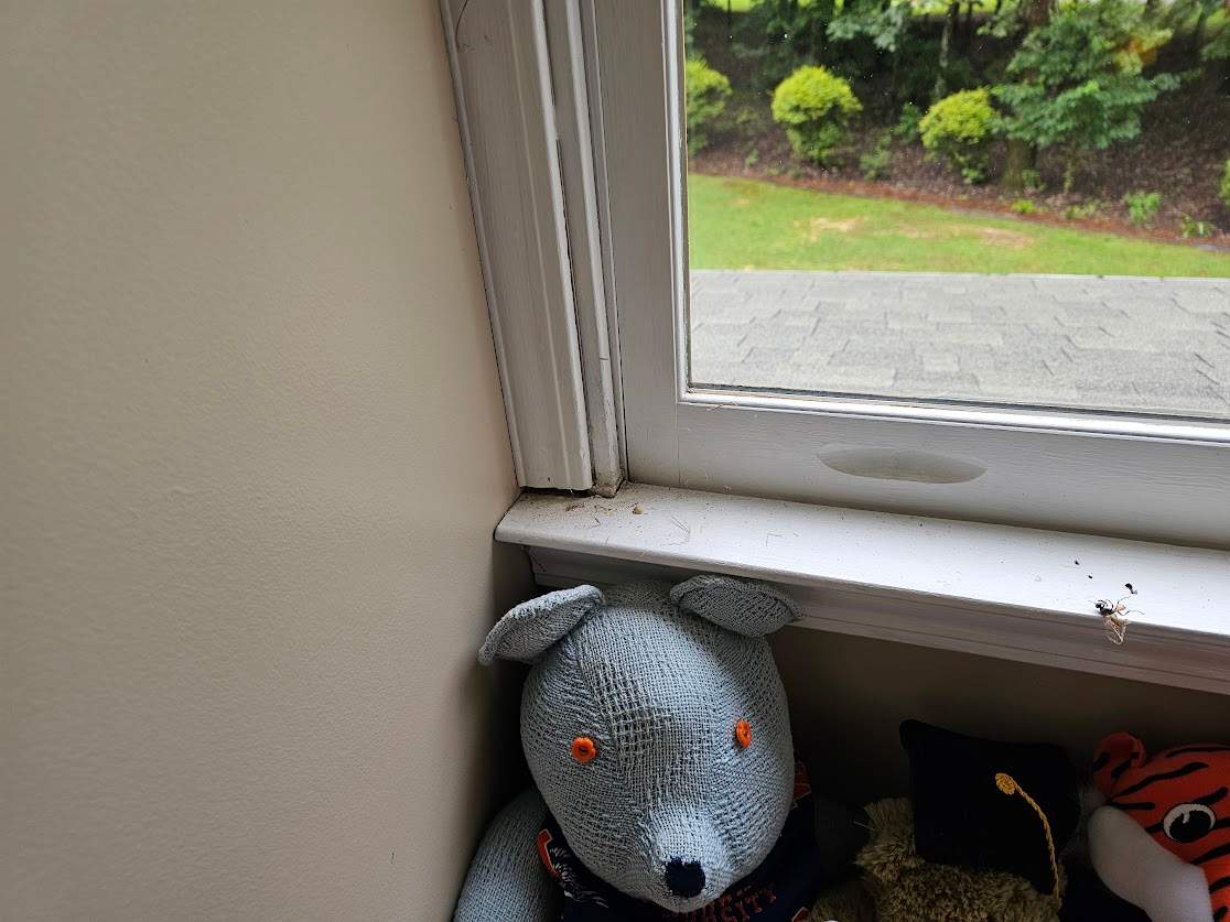 Smith Project in Alabaster by The Window Source