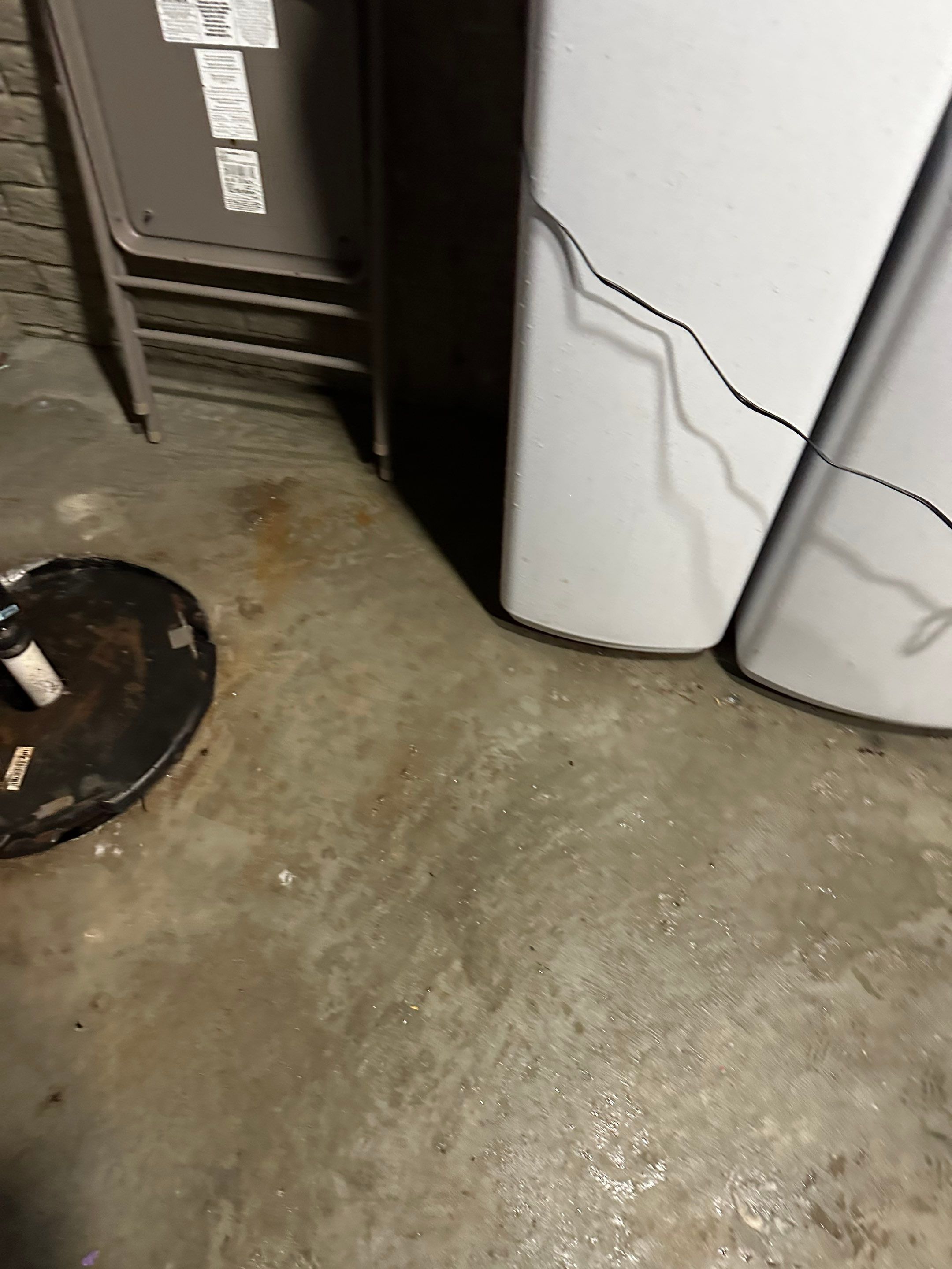 Project in White Lake by EzDry Water Mitigation & Property Restoration