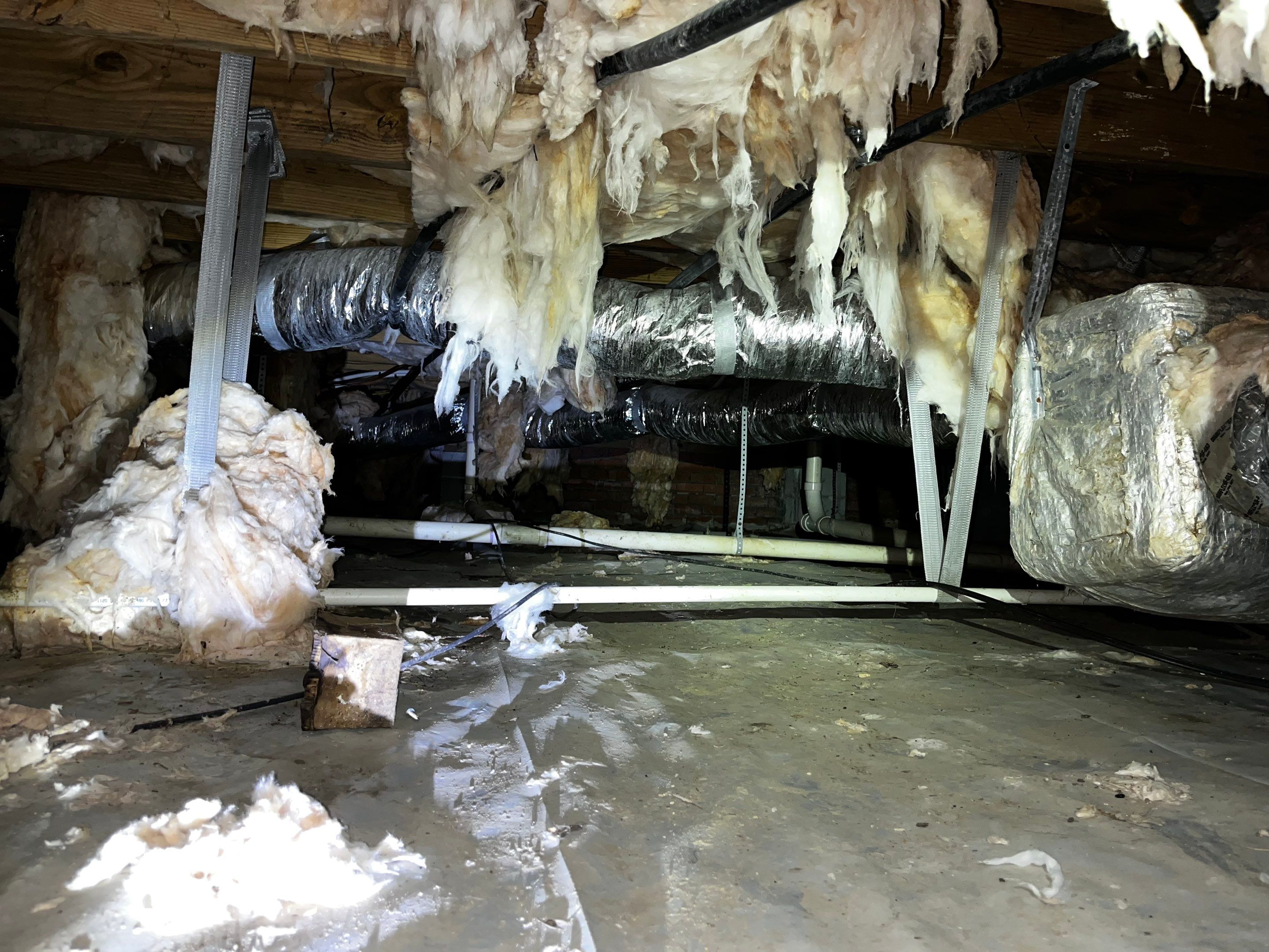 Impact Choice Encapsulation with French Drain and Crawlspace Doors by Impact Crawlspace