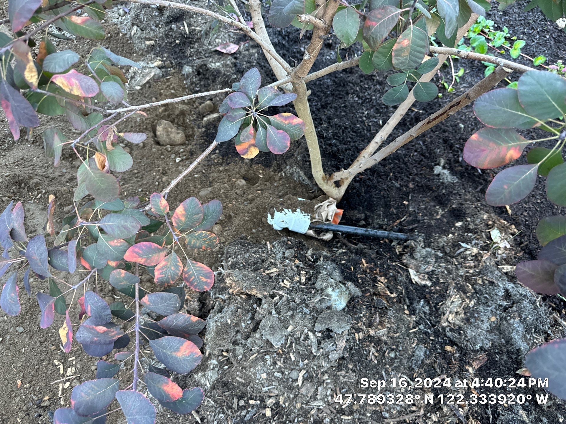 Asphalt Driveway Repair | Edmonds  by Jireh Asphalt & Concrete Inc 