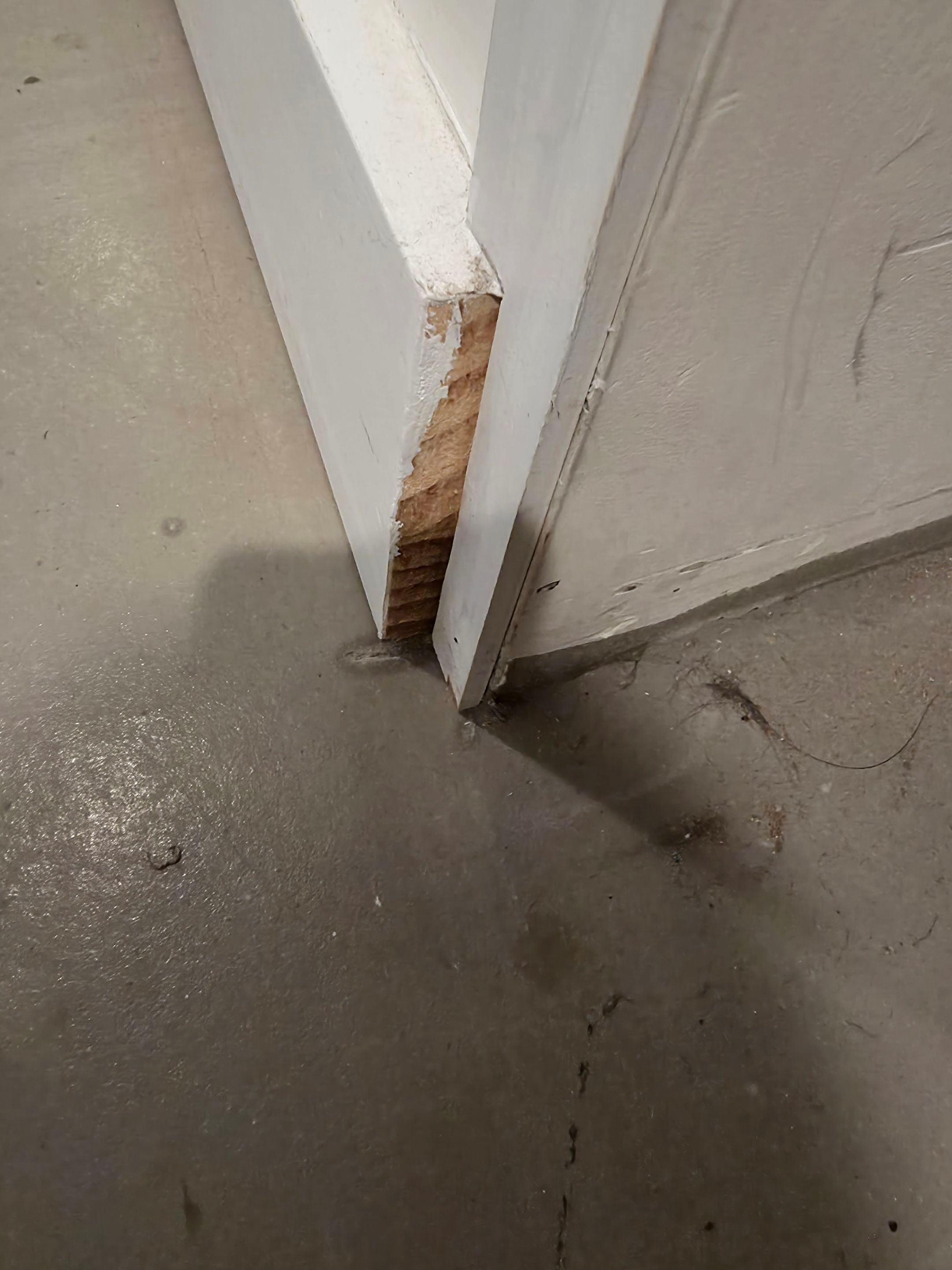 Anna and Allan Branch  by Service Restoration