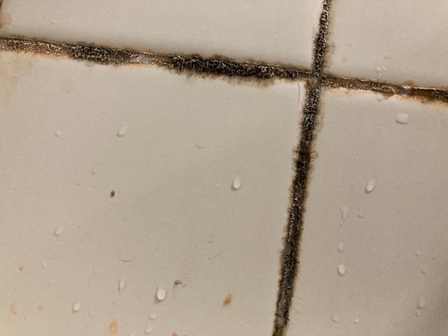 Water Damage in Bathroom by Accountable Home Services