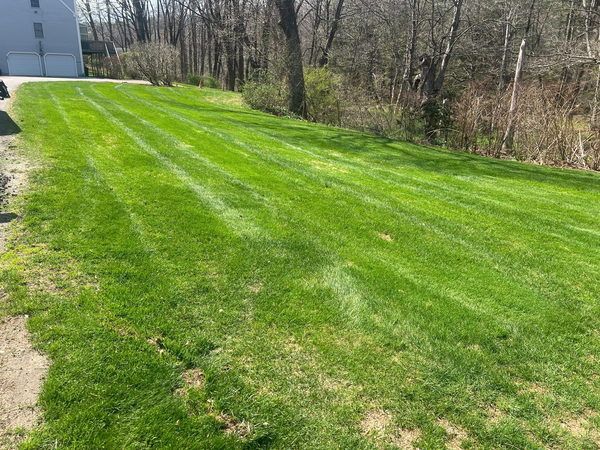 Professional Mowing and Property Cleanup Service in Guilford by Diamond Image LLC