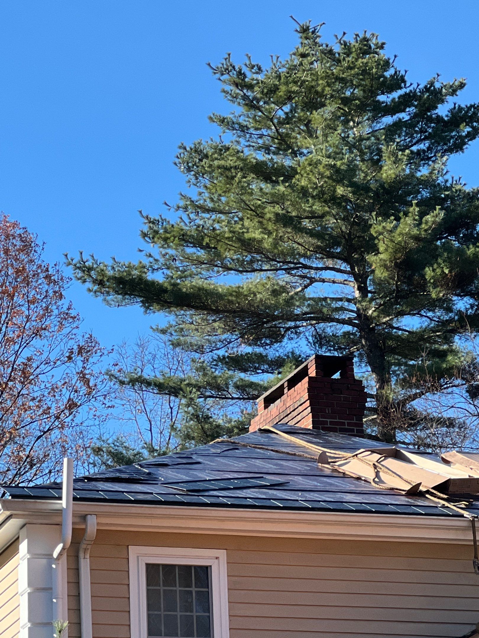 Metal Roofing Portfolio by Coastal Windows & Exteriors