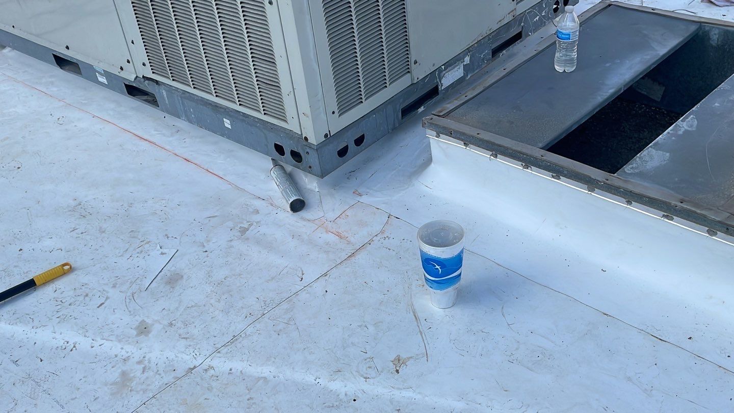 TPO THAI TOP by Bayfront Roofing and Construction