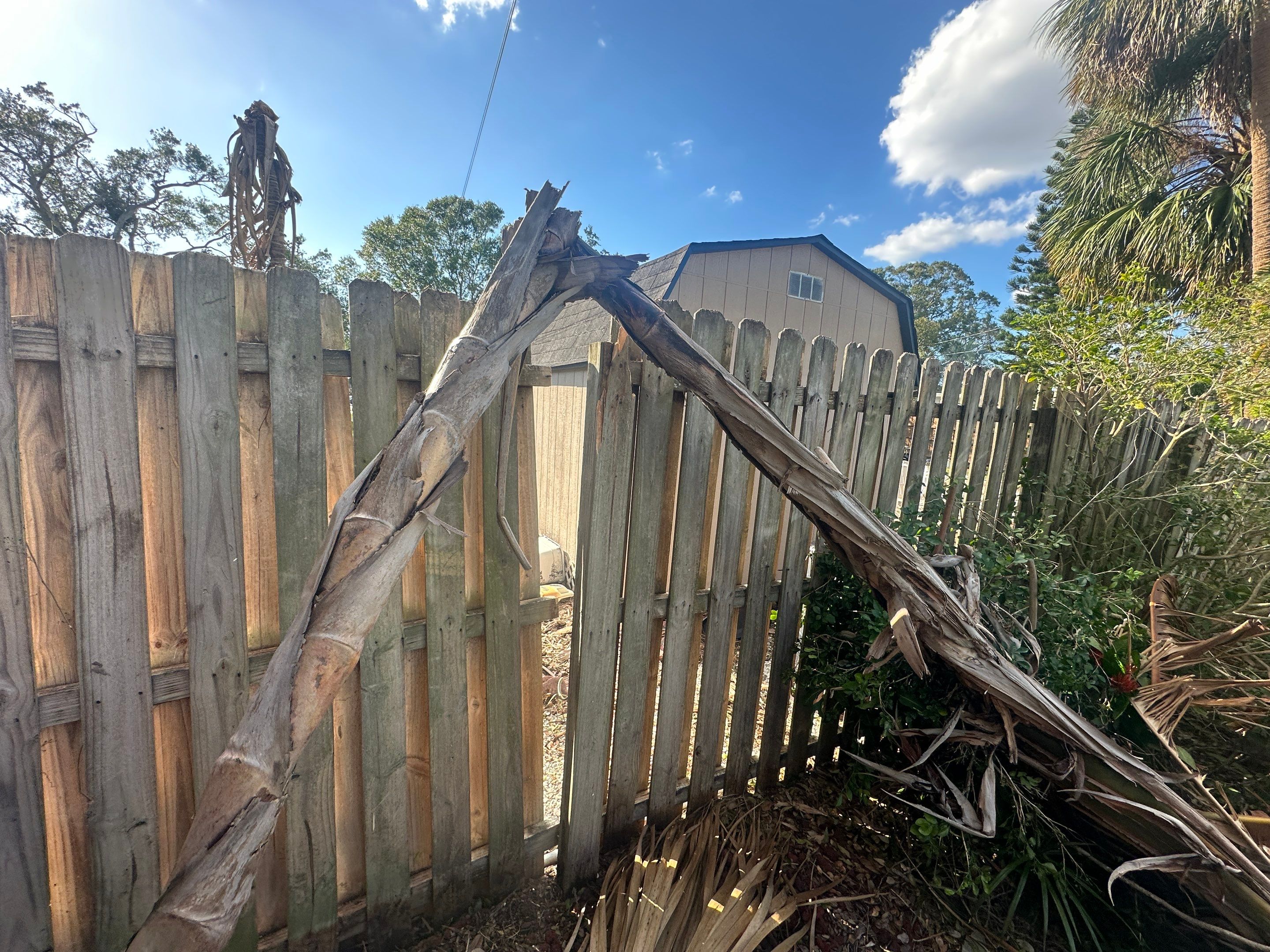 Flood Damage Claim in Tampa by FLAPA & KeyStone