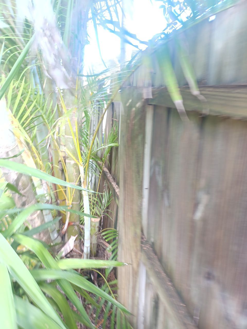 Bradenton, FL 6ft. White Vinyl Privacy Fence by Asap fence and gates, LLC