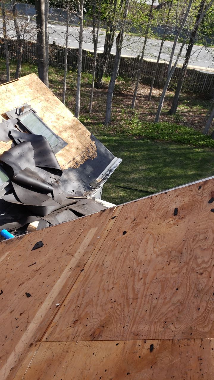 Springfield Certainteed Landmark Pro Designer Shingles by RM Banning, Inc.