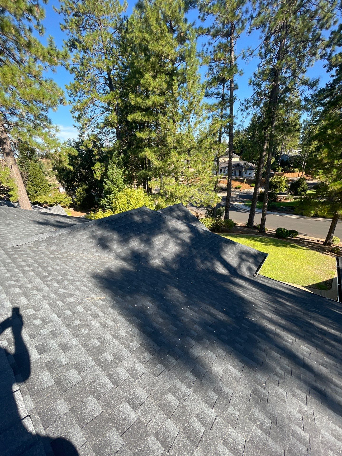 Paradise Shingle by Butte Roofing Company License #567600
