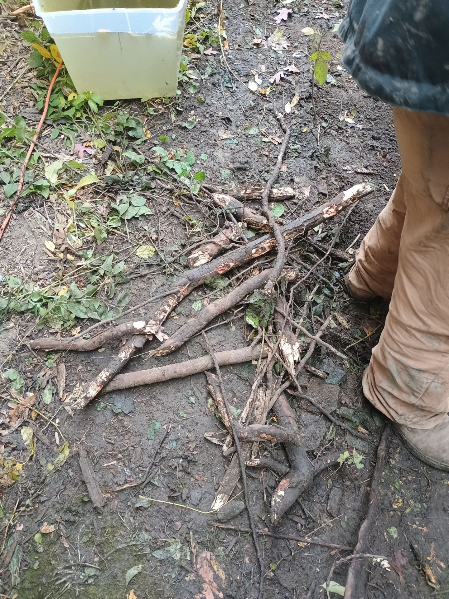 A French Drain for Maya by Waterproofing Northeast