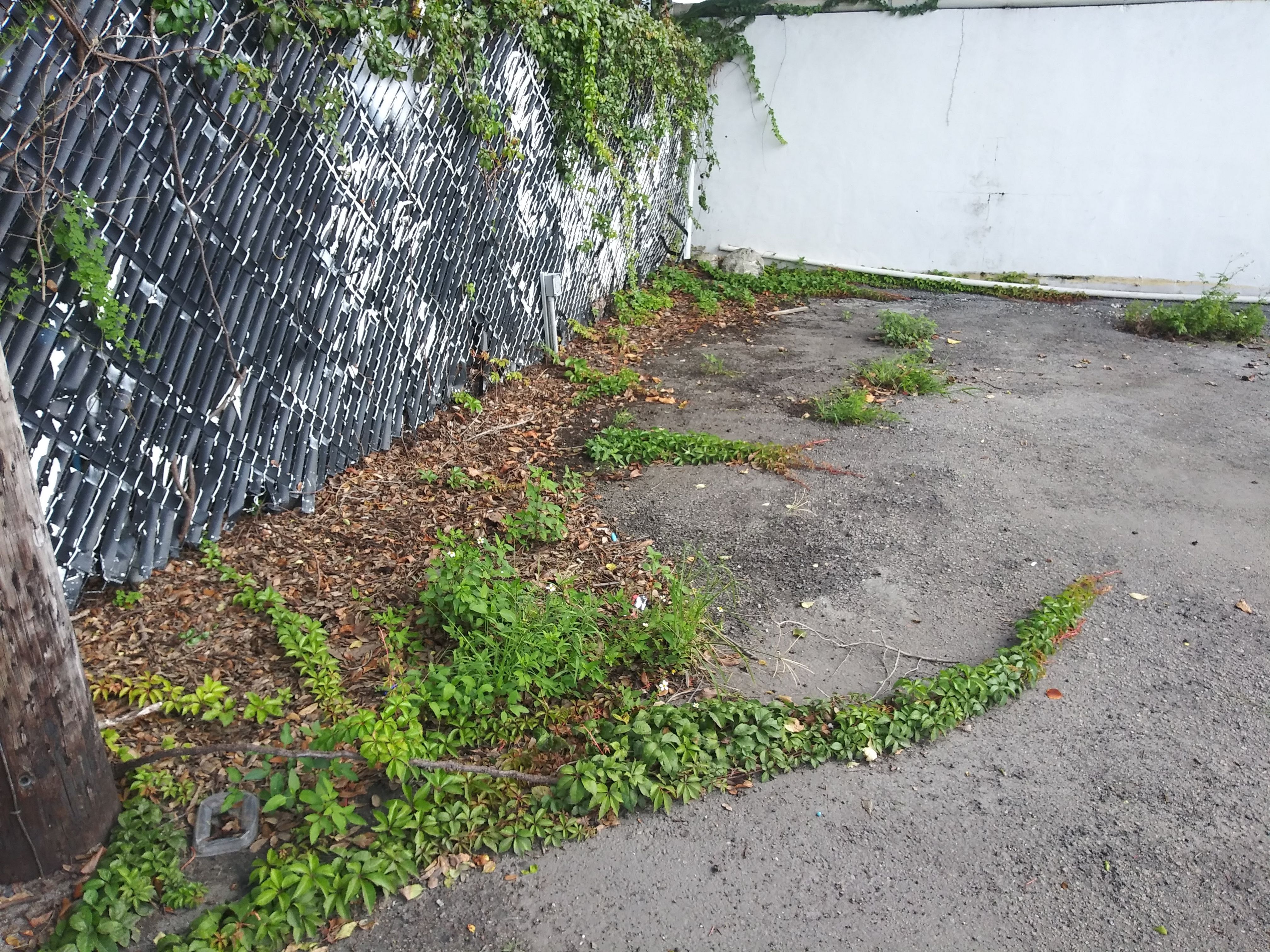 Lot Cleanup by
M.A.B. Landscaping & Property Maintenance