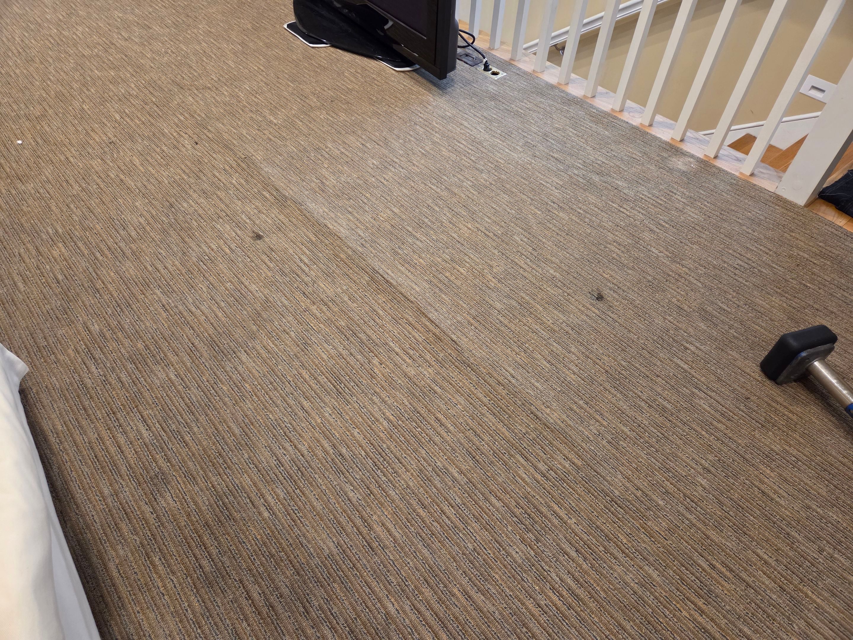 Garage Loft, Carpet Re-stretch & Cleaning by Ardent Carpet Restore LLC