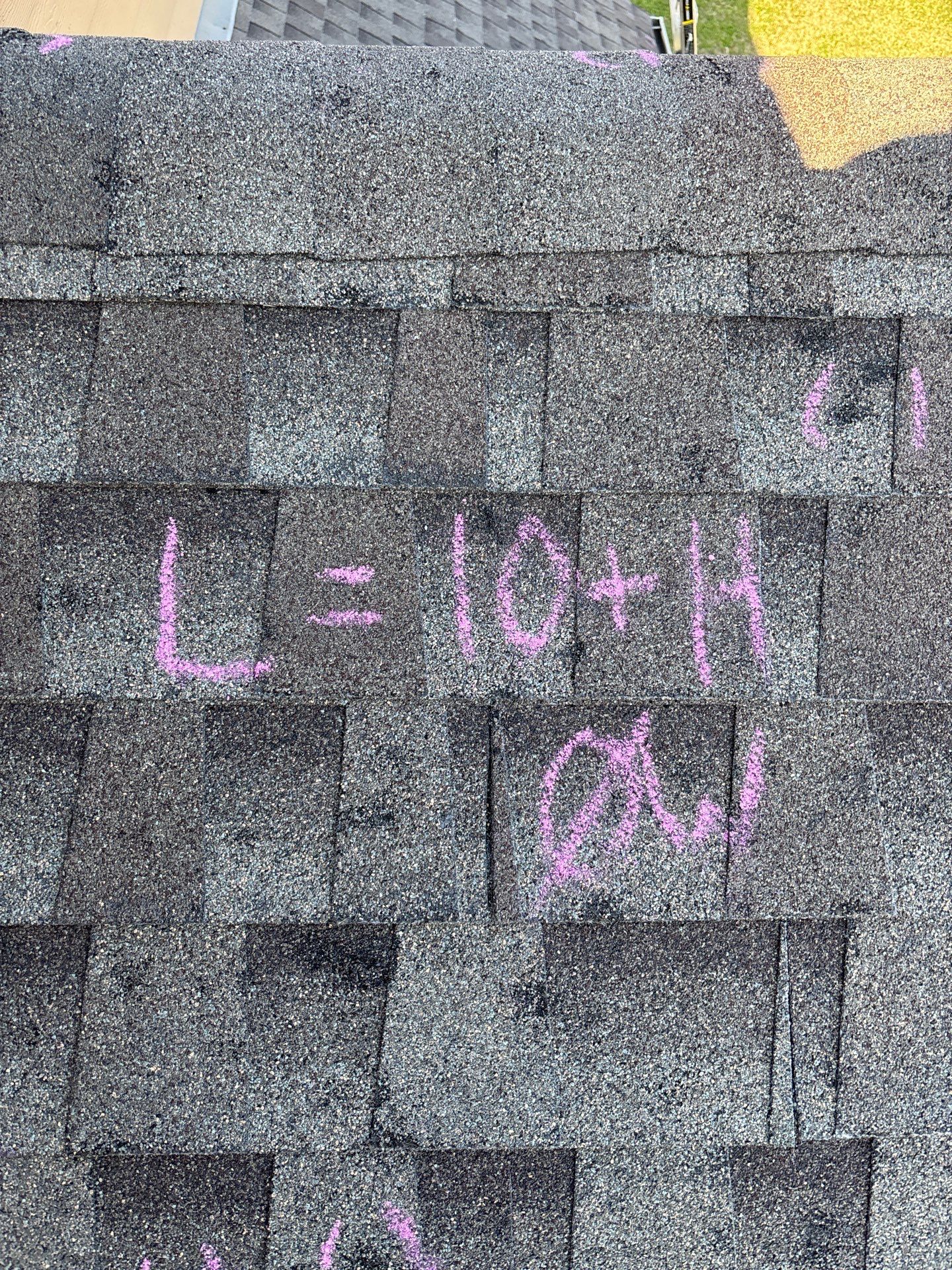 DAN L by Boss Hogg Roofing