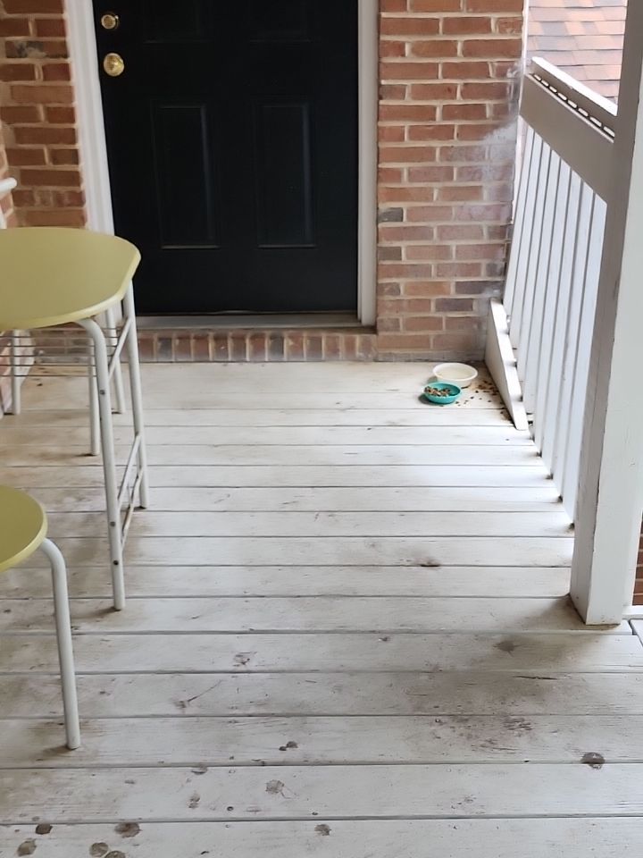Apartment wash using cleaner by Power Wash Masters LLC