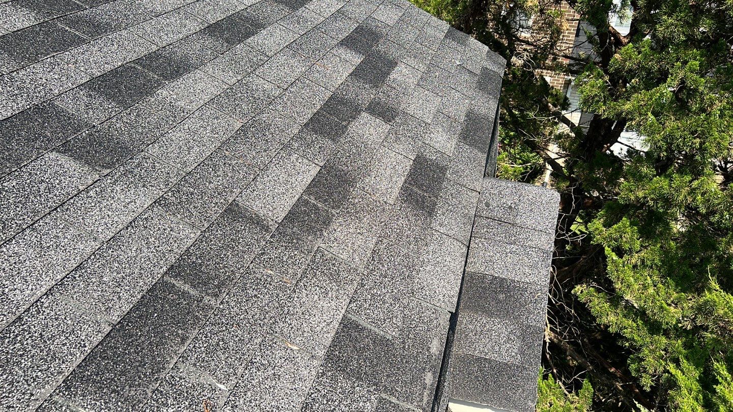 Reston: CertainTeed Landmark Pro Architectural Shingles in Max Def Moire Black by RM Banning, Inc.