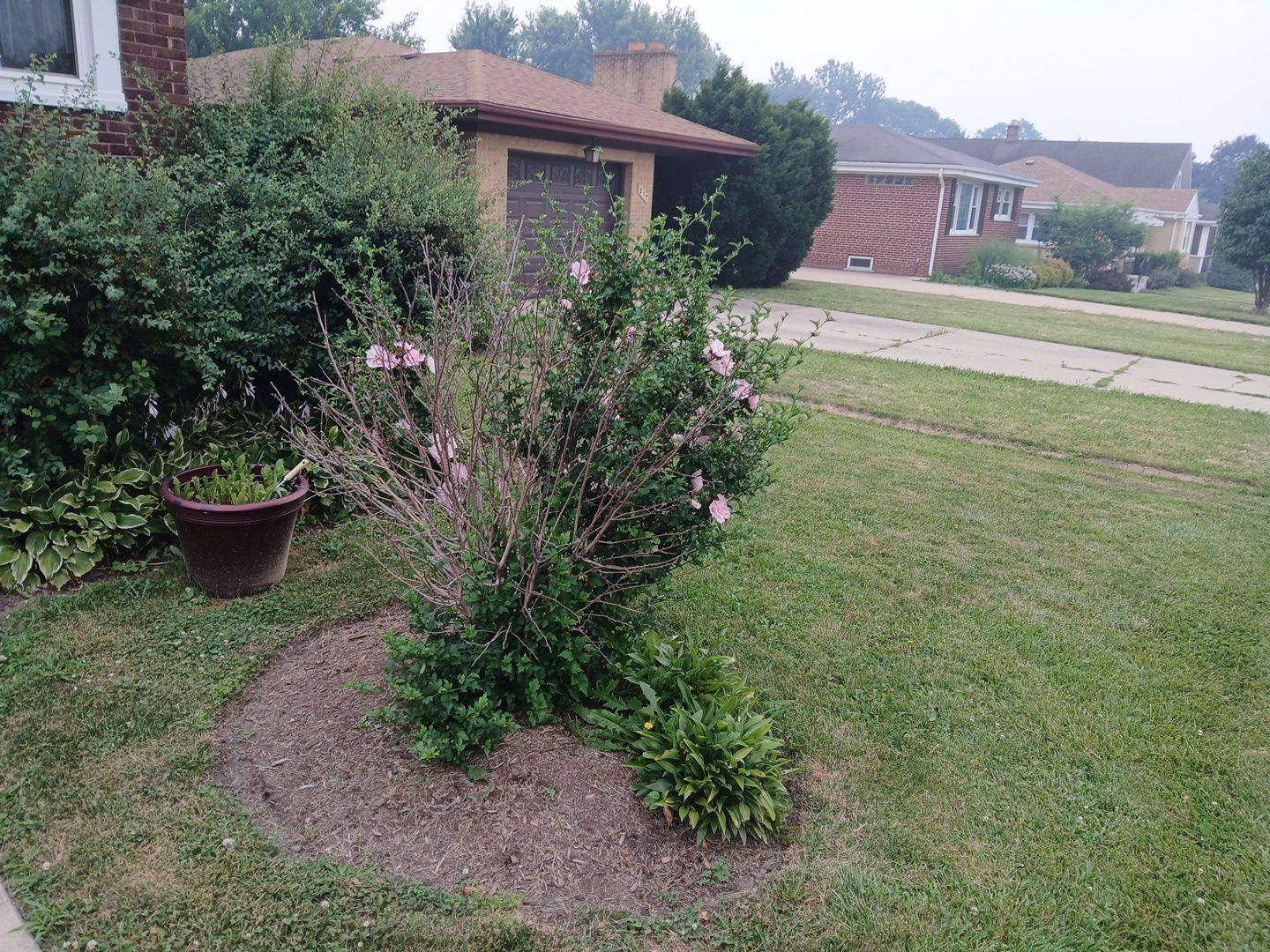 Veronkia S. - Mount Prospect, IL by A&N