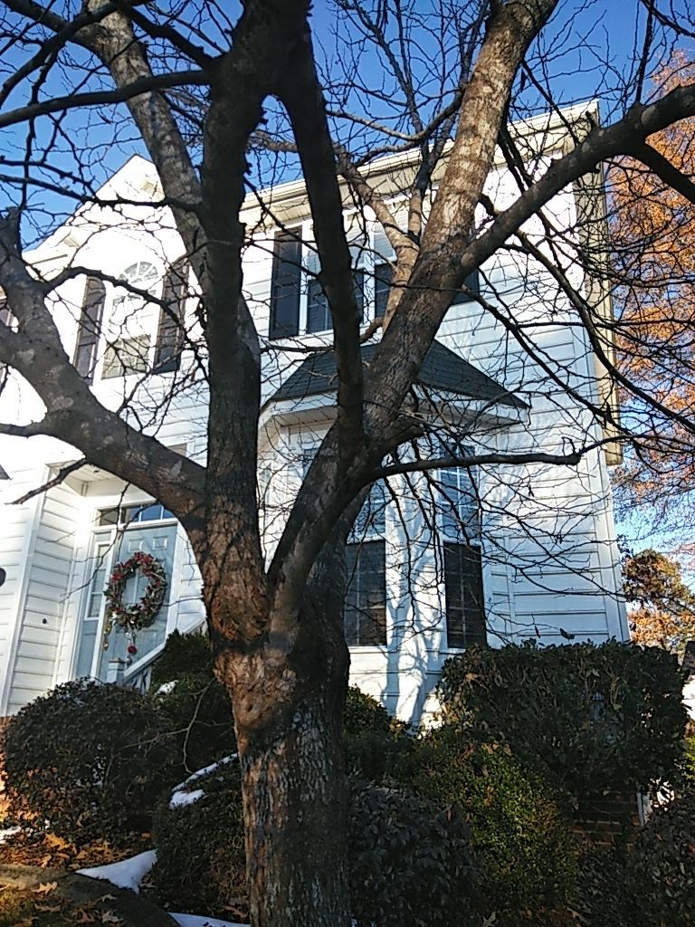 Residential Roofing Repair by American Roofing NC