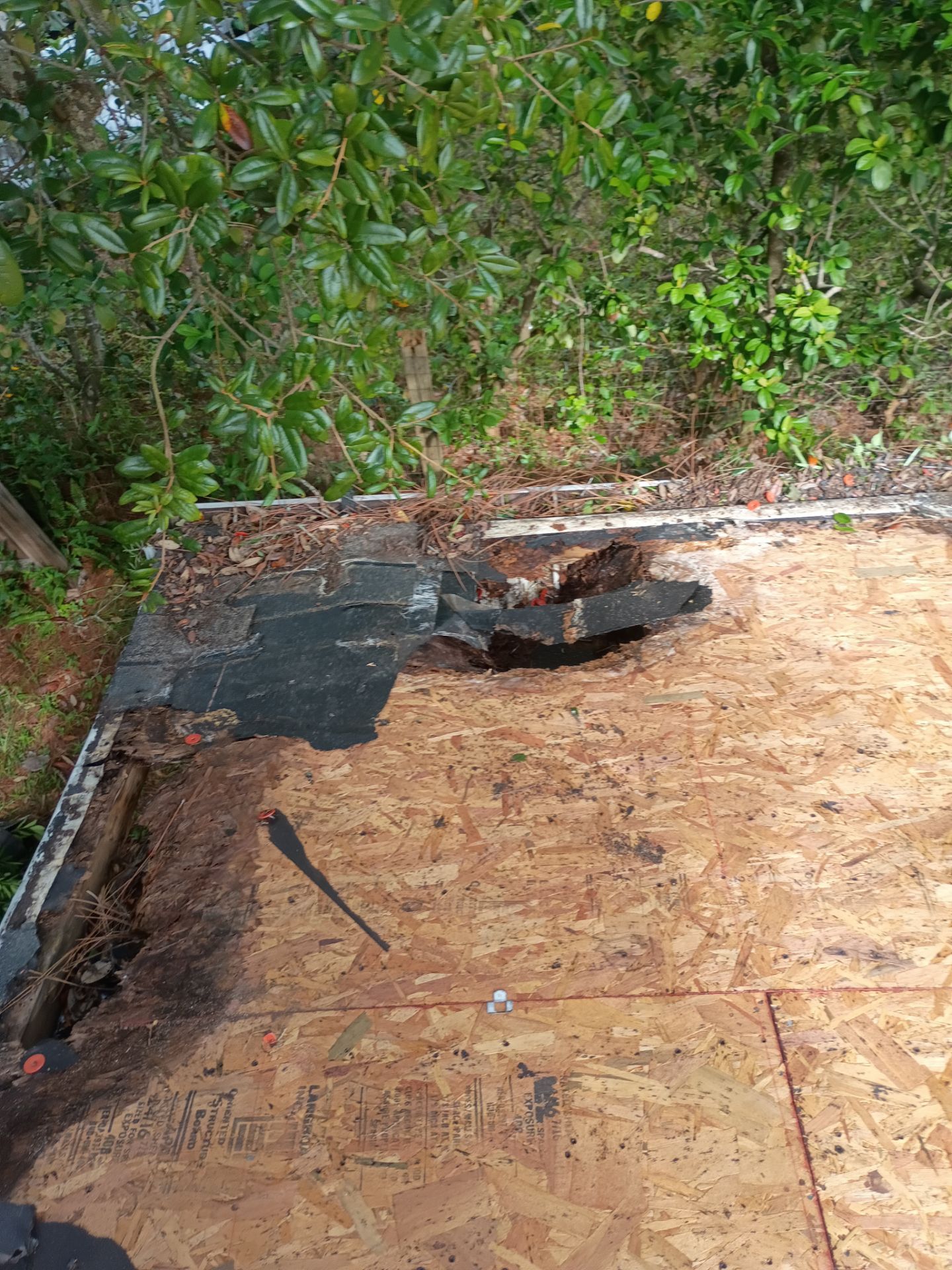 New Smyrna Beach Residential Roof Replacement Using Tamko Titan Shingles by Pinnacle Roofing Group