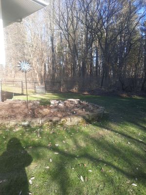 Tree Removal using Tree Removal