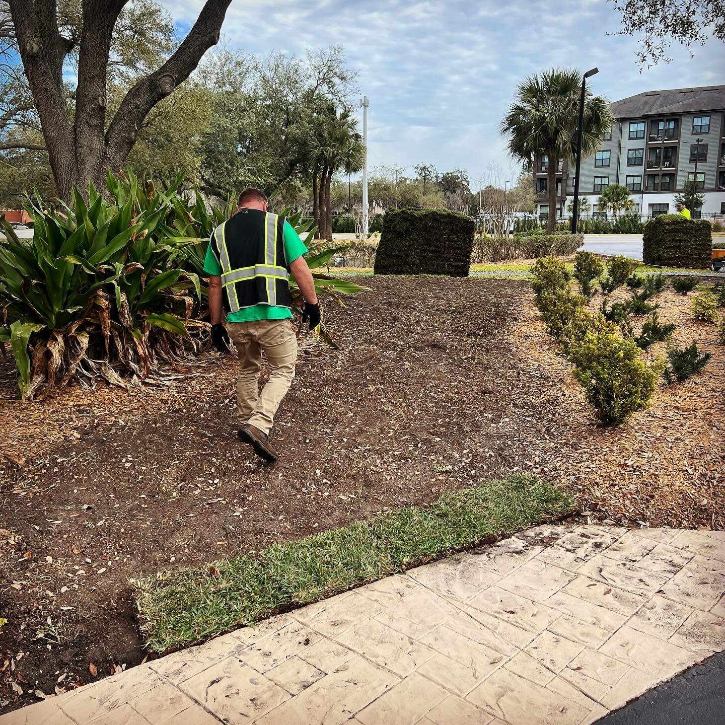 Landscape Install | Marriott Hotel by ProGreen Services