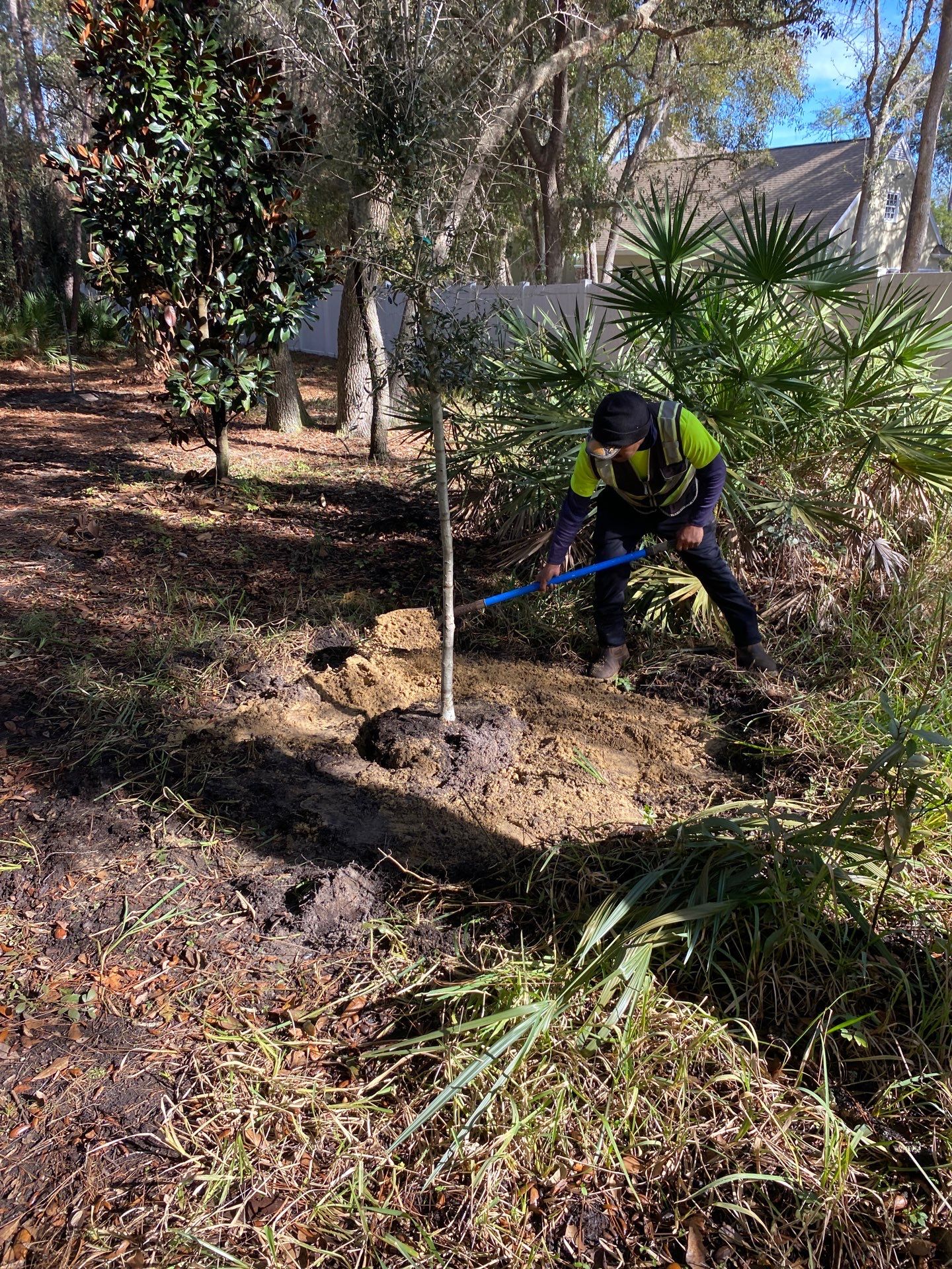 Deerwood Resident | Tree Installation by ProGreen Services