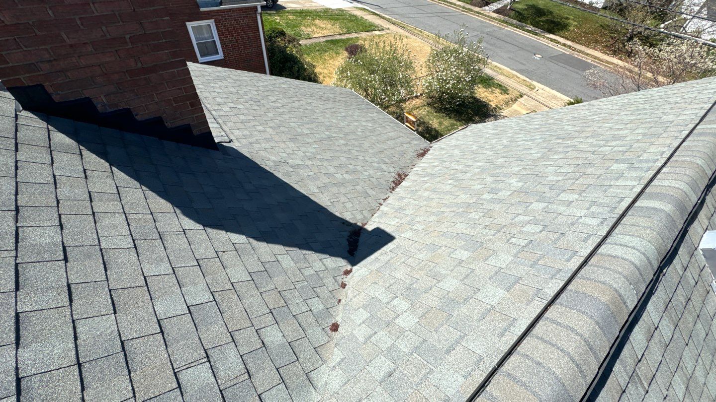 Alexandria: Mule Hide TPO Flat Roof by RM Banning, Inc.