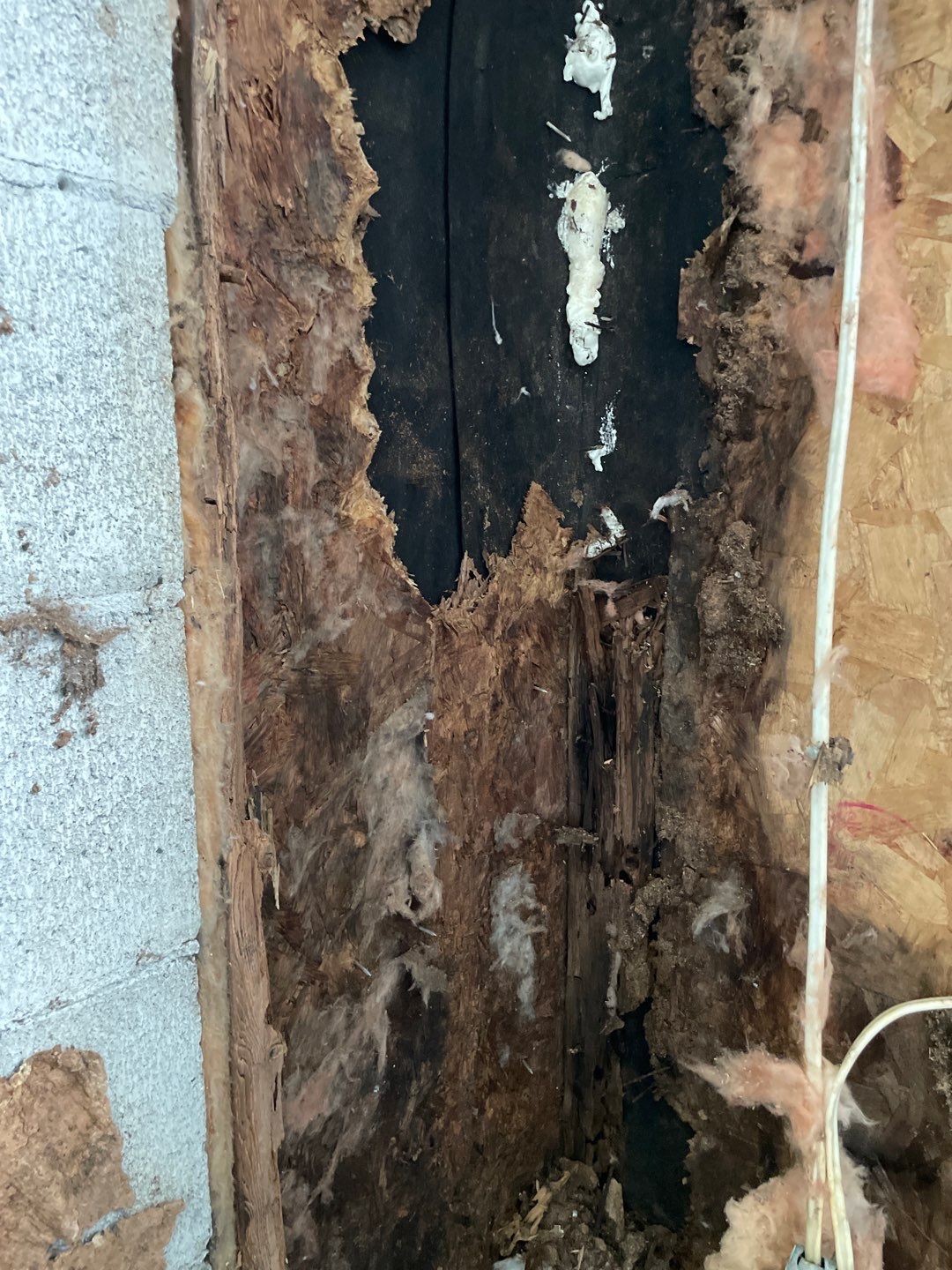 Water damage caused structural work by Eco-Nature Construction Inc.