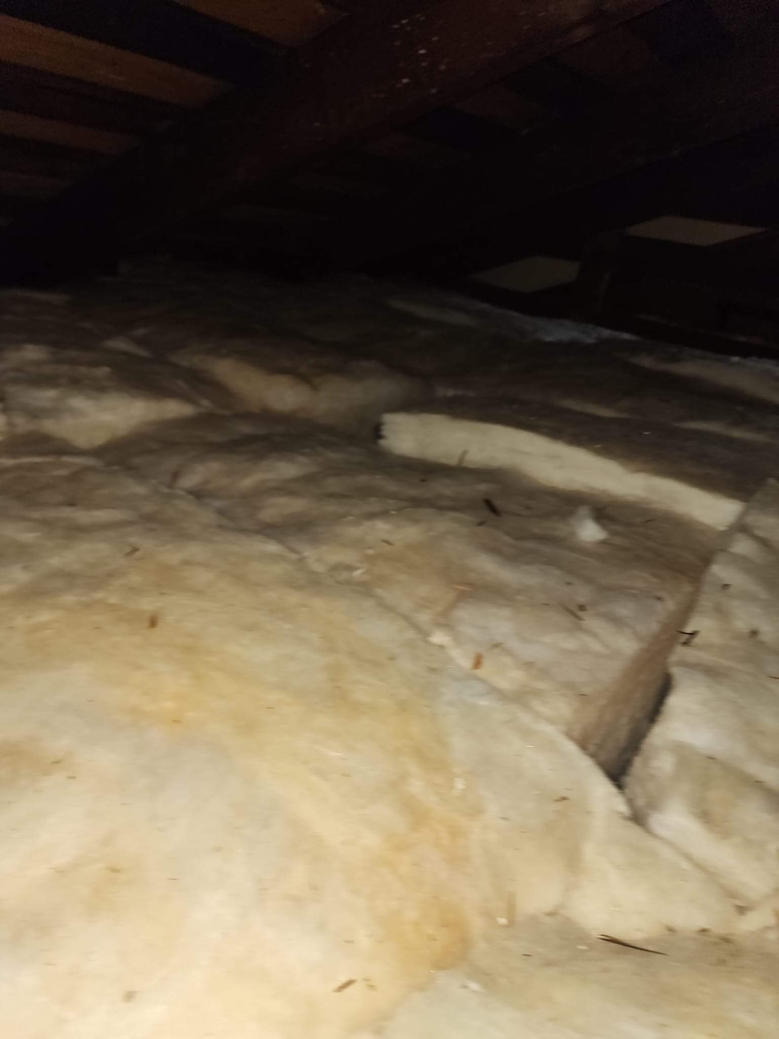 Project by Advanced Attic Solutions by Advanced Attic Solutions