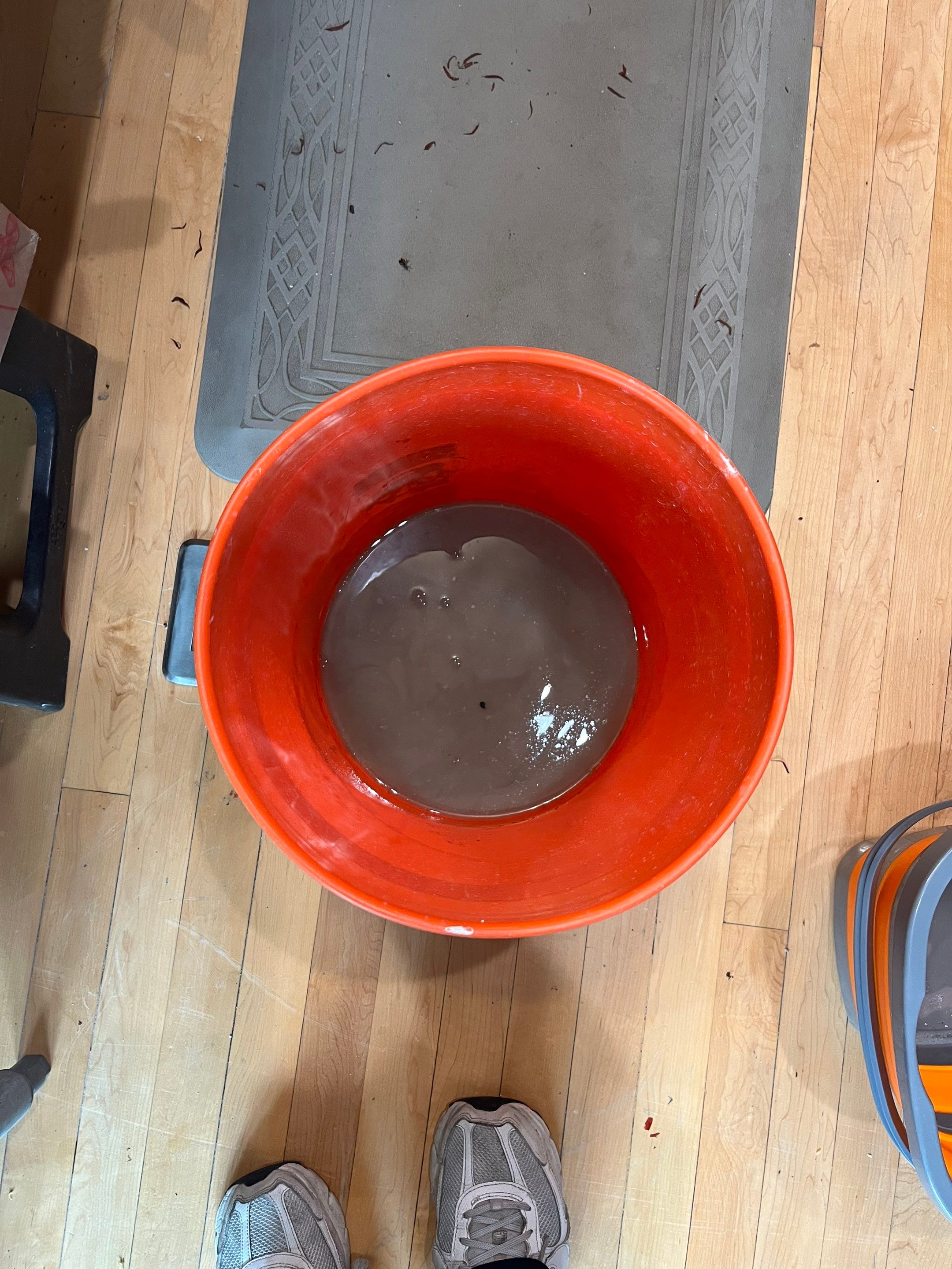 Project in Berwyn by Xo Clean Services 