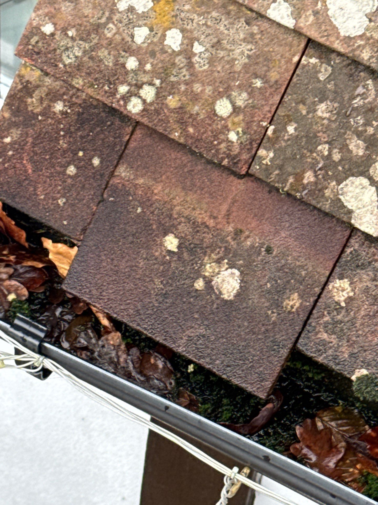 Roof - Driveway - Patio Clean using 18inch Whirlaway FSC by Ges Exterior Cleaning ltd