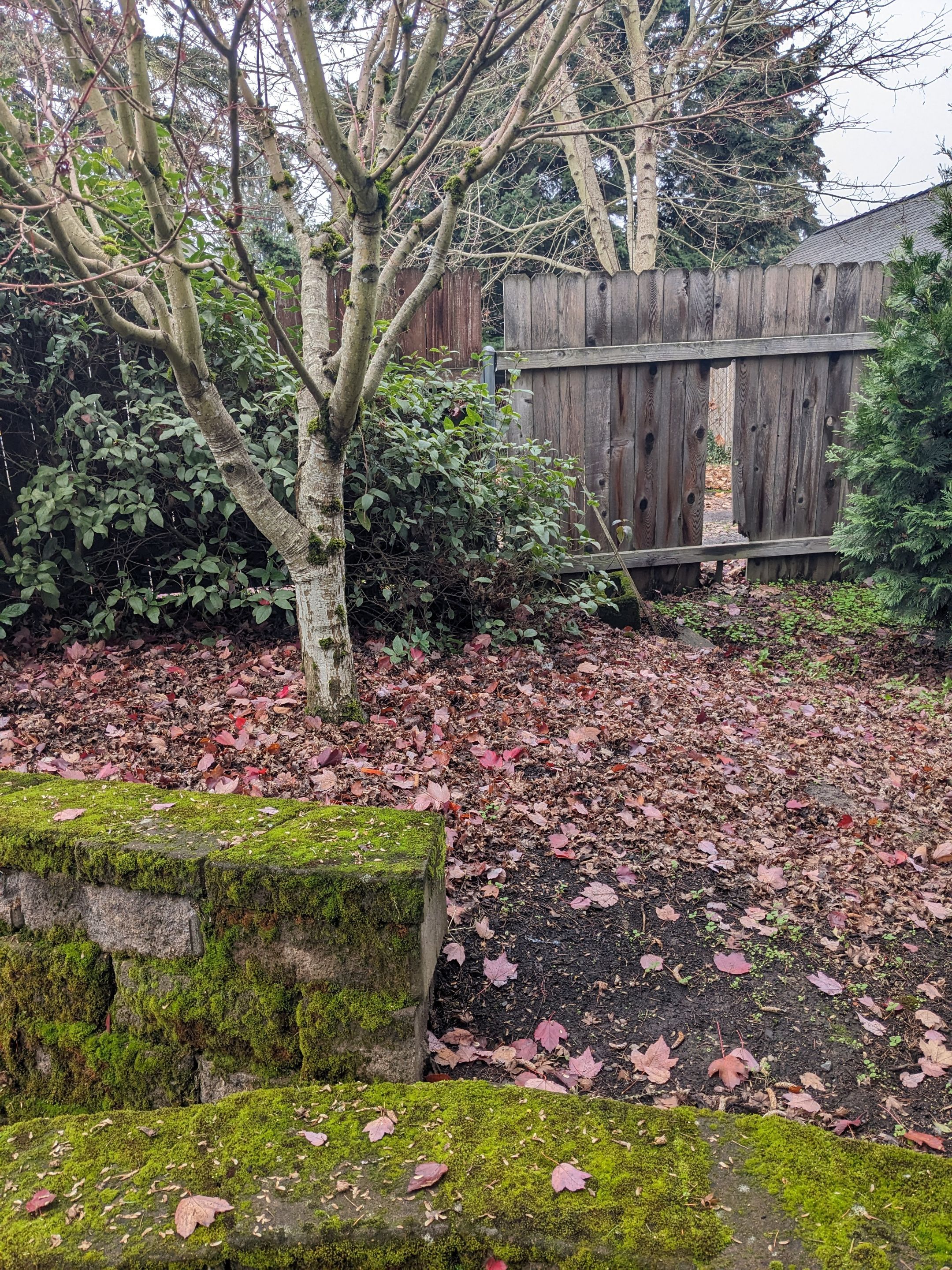 Landscape Design by CompanyCam Help Articles Test