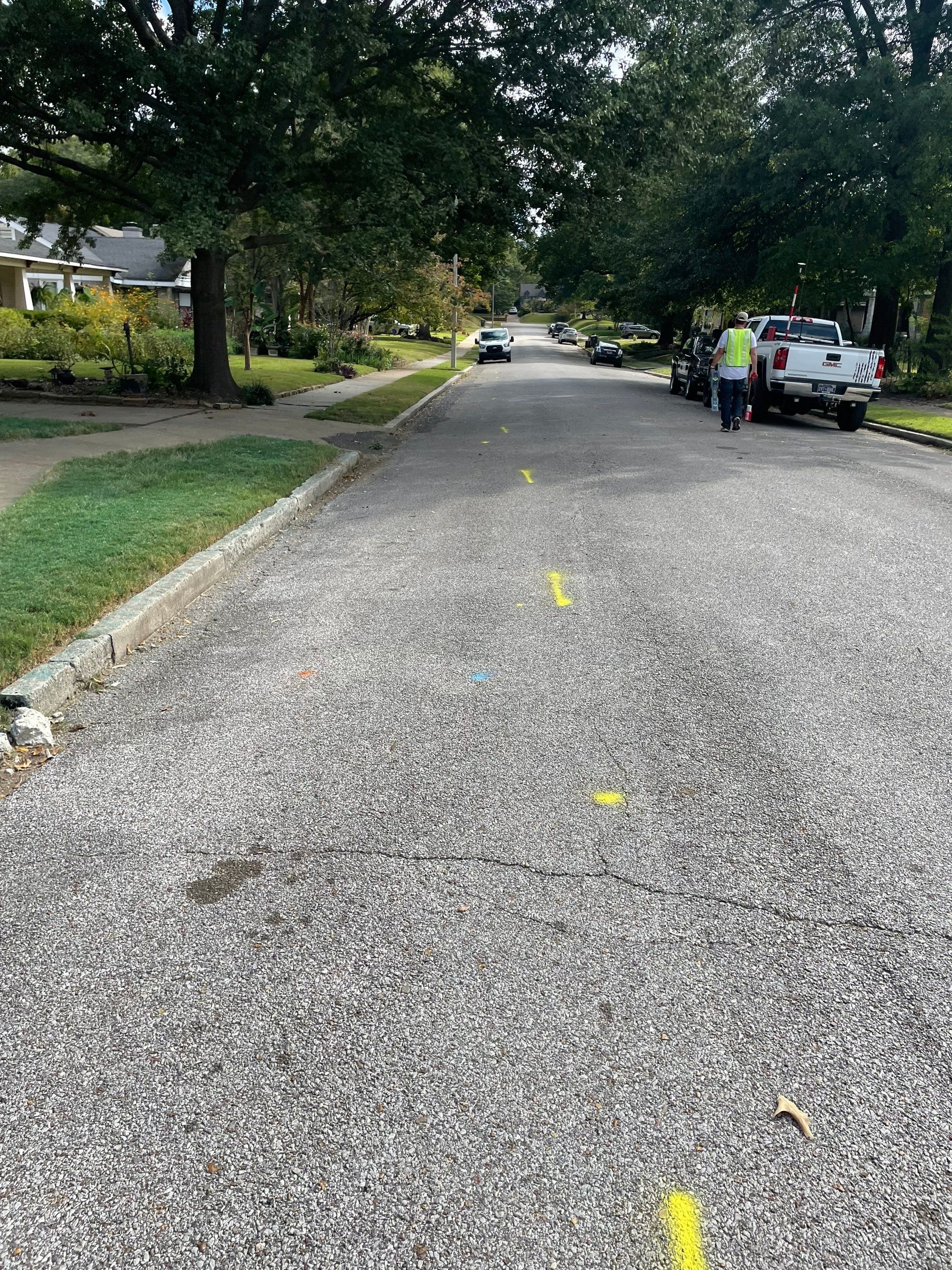 Utility Locate for Survey Purposes by Alsip Locating Service, LLC