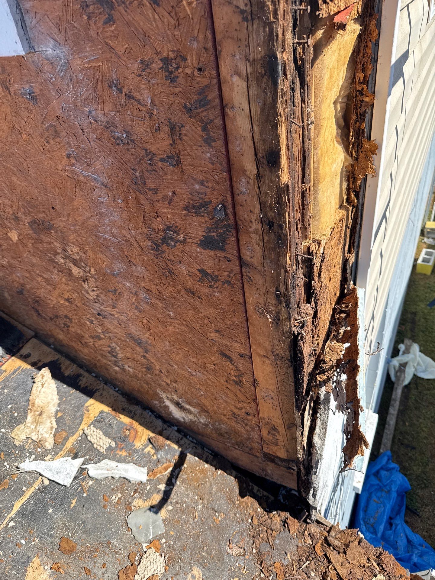 Roof Replacement in Tampa, FL by Shingle Masters Roofing