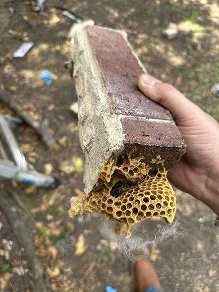 Between Floors by Rockwall Honey Bee Company