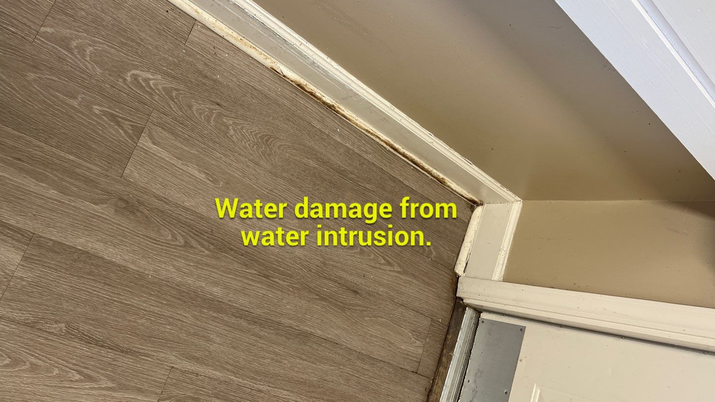 The Gardens of Rome by PC&D