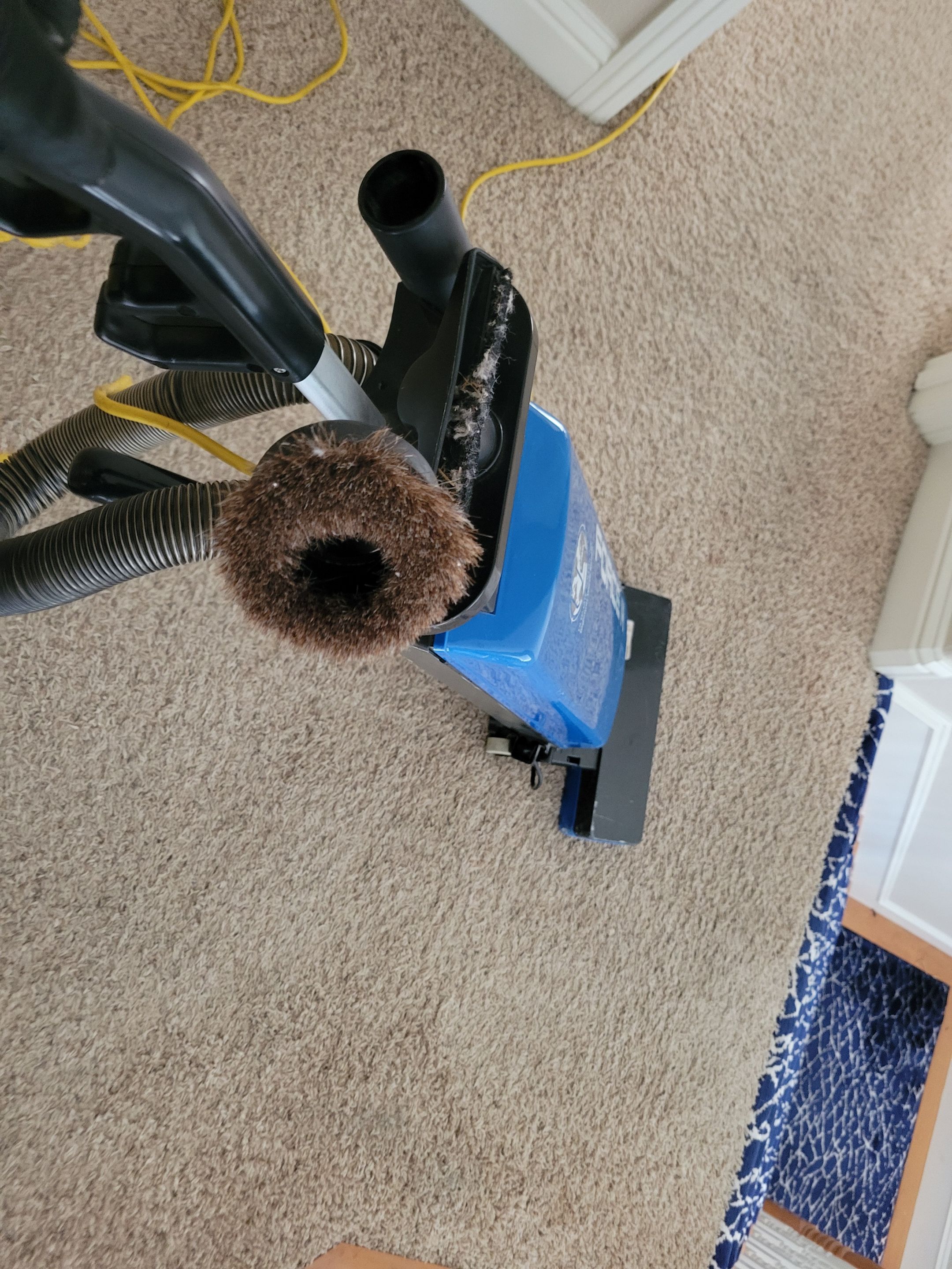 Black Staining, Carpet Cleaning by Ardent Carpet Restore LLC