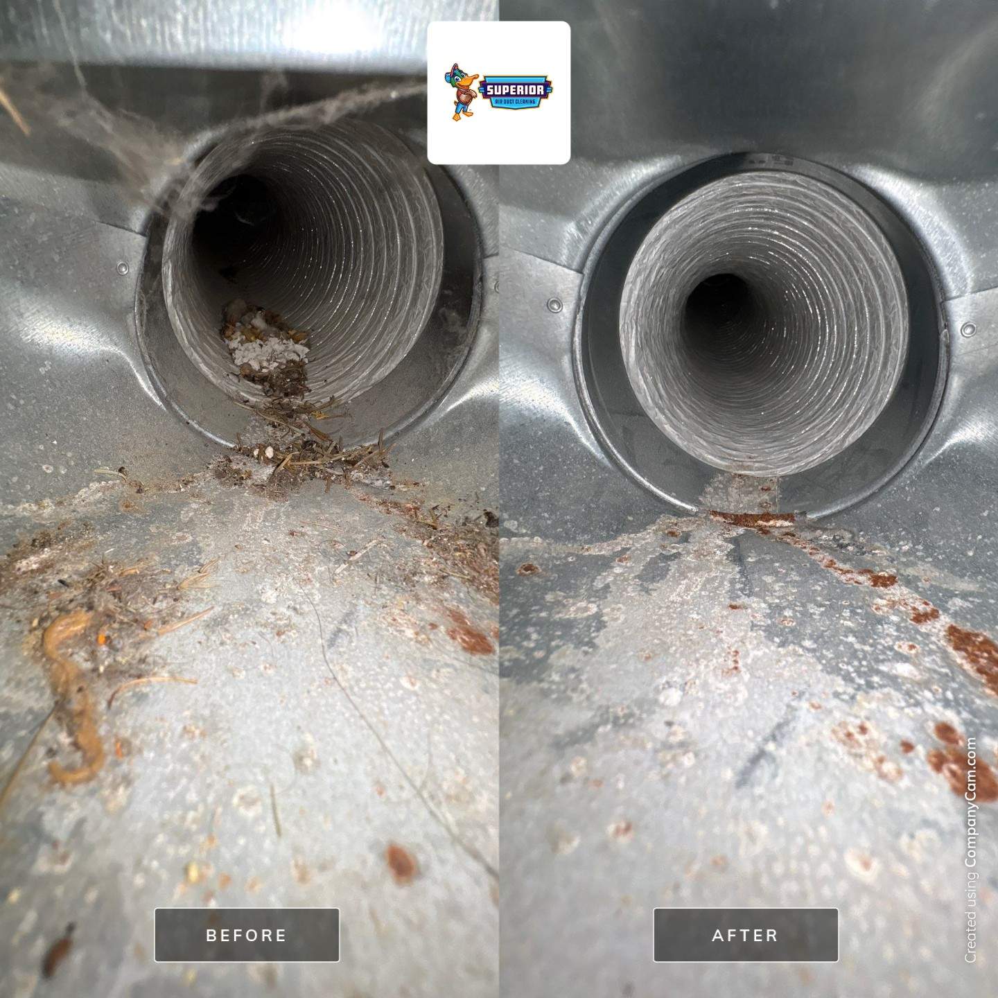 Air Duct Cleaning in Wexford, PA by Superior Air Duct Cleaning