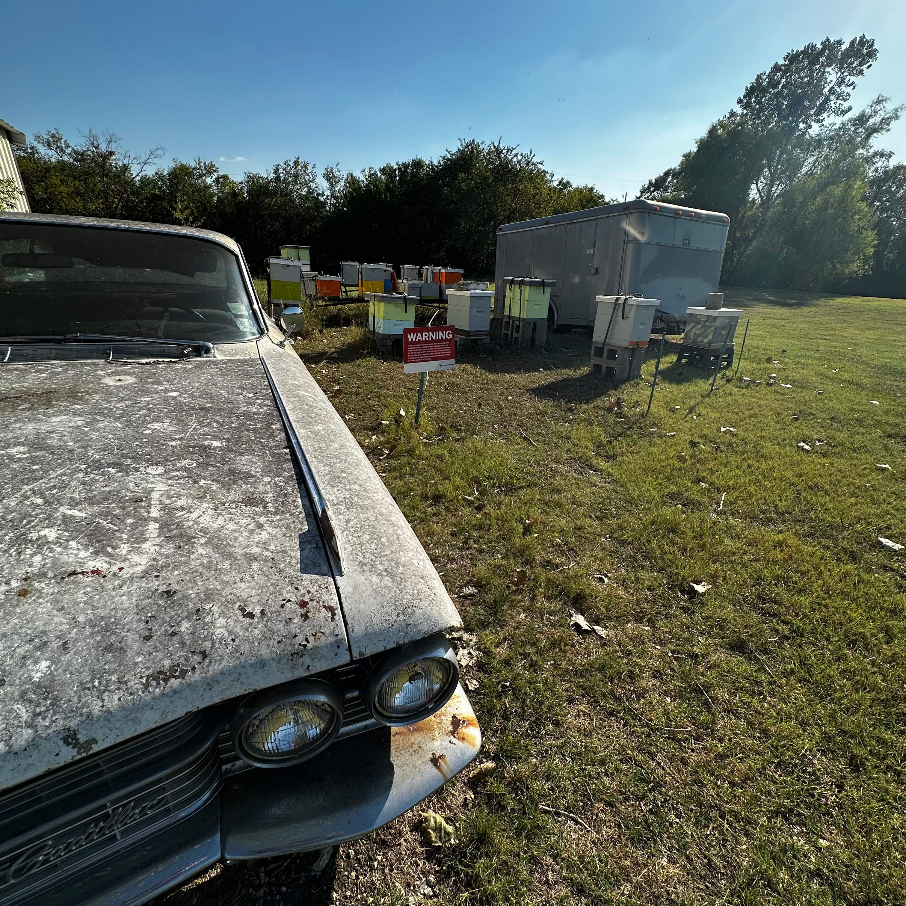 Rockwall Honey Bee Company HQ by Rockwall Honey Bee Company