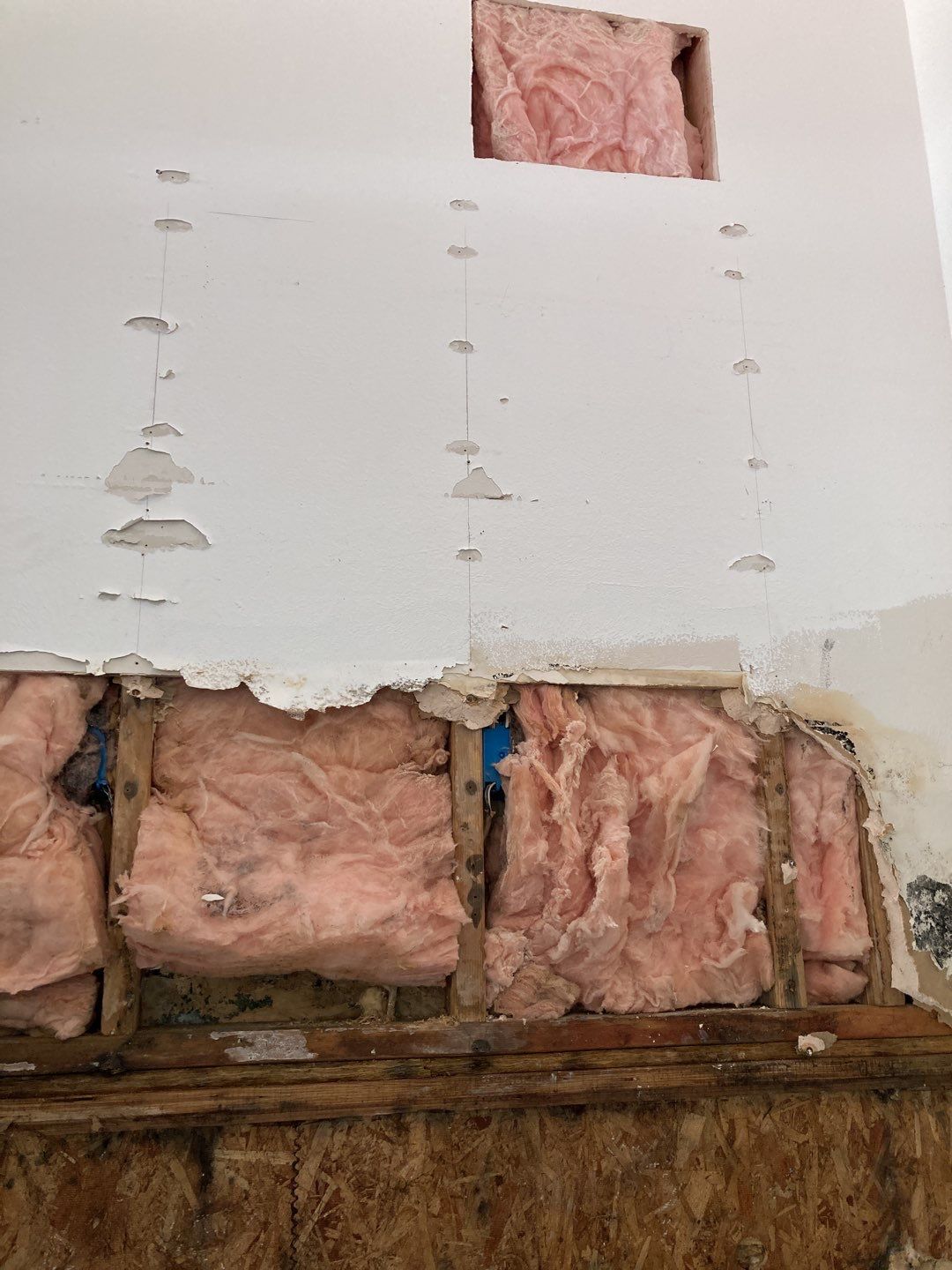 Mold Remediation using Containment by Accountable Home Services