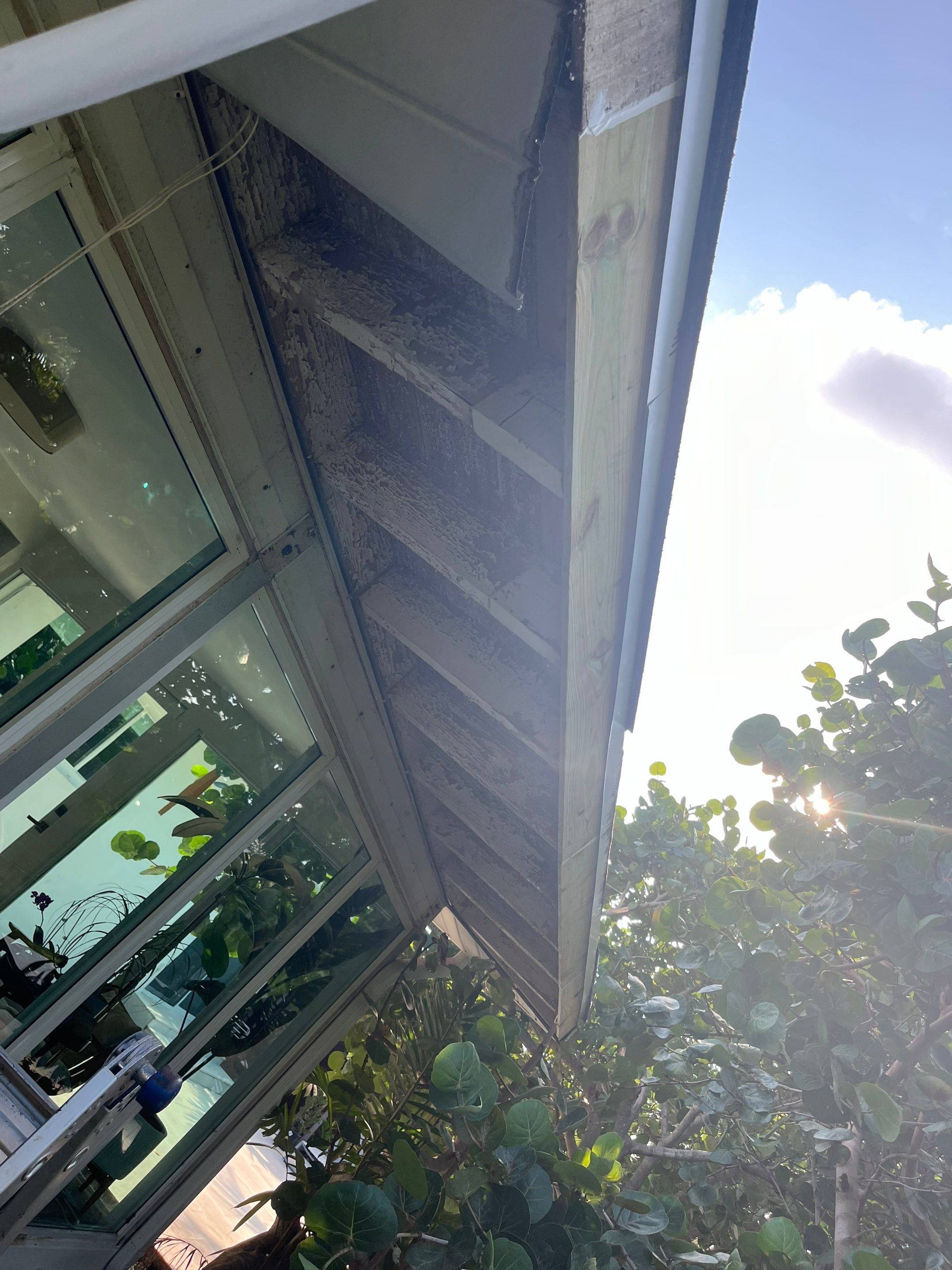 Residential Flat Roof Repair by The Goat Contractor ( Giampri Corp)