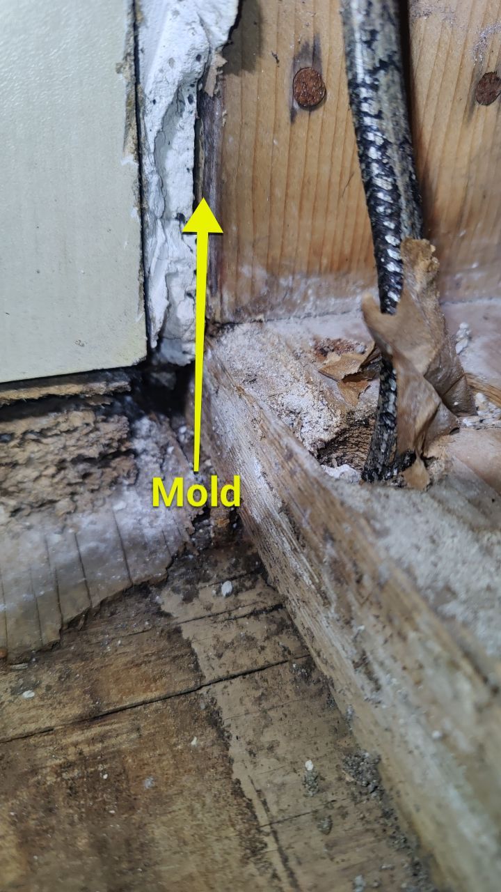 Mold Damage by Accountable Home Services
