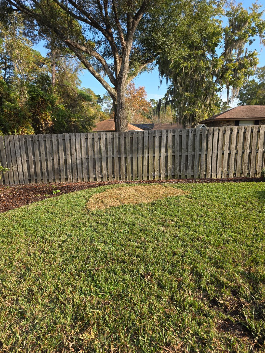 Deerwood Resident | Winter Sod Replacement by ProGreen Services
