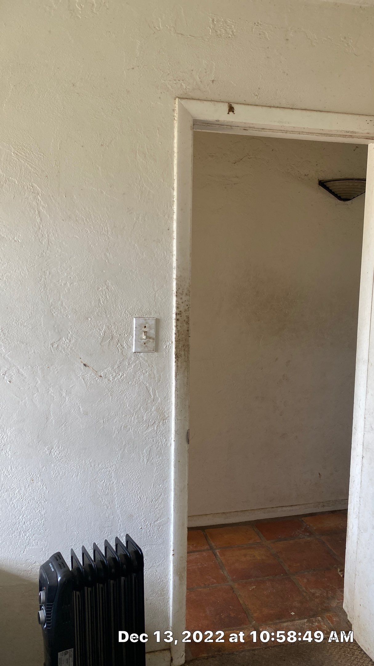 Mold Assesment using IR Camera, Moisture Meter, Air Cassatte samples and Tape lifts by Building performance Solutions LLC